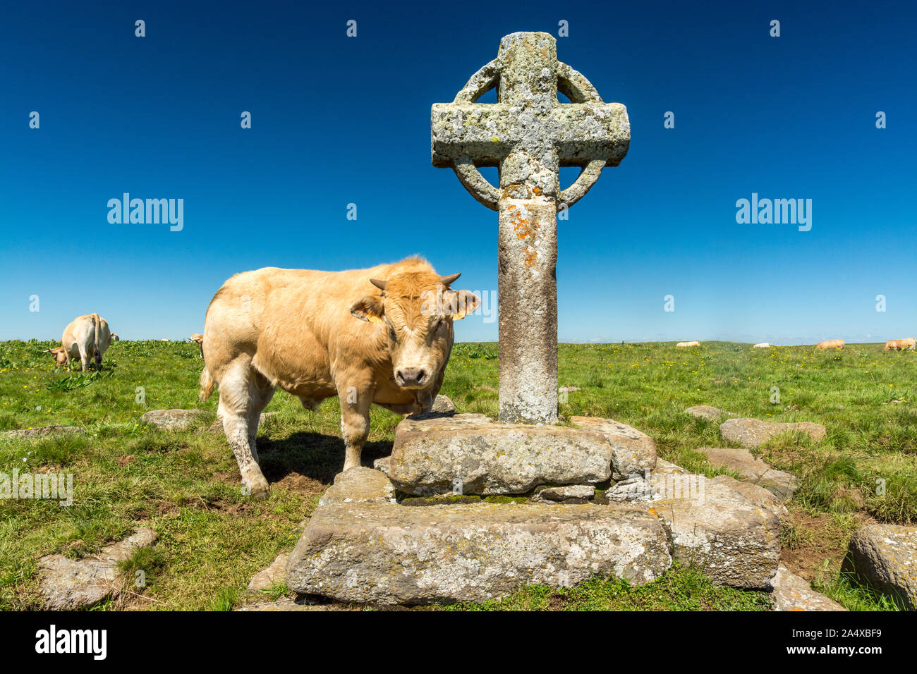 Croix de la Rode ist ein sehr altes Steinkreuz errichtet auf der Aubrac