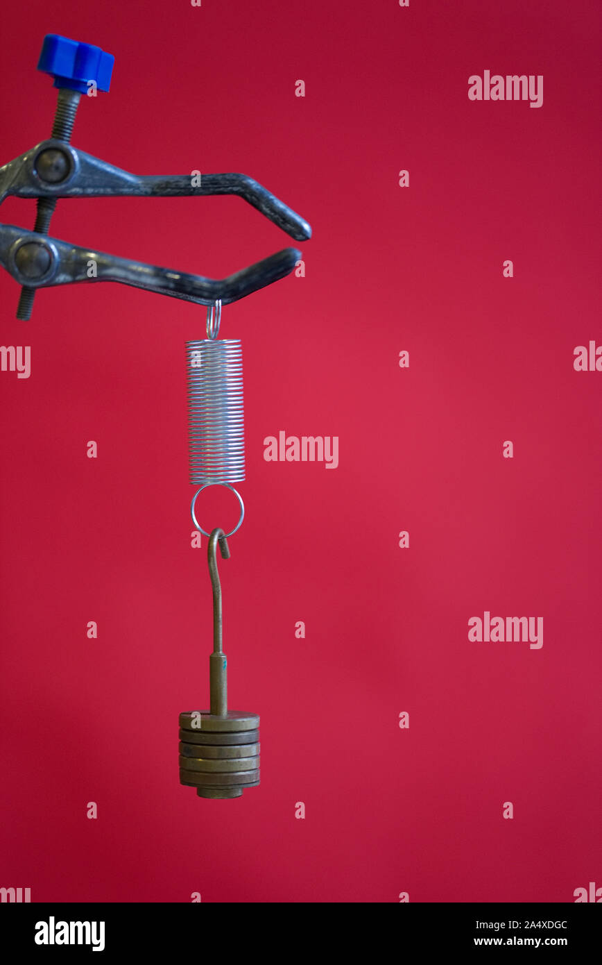 Massen hängend an einem gespannten Feder auf einem roten Hintergrund. Schule Wissenschaft Experiment auf das Hookesche Gesetz in einem physikalischen Labor Stockfoto