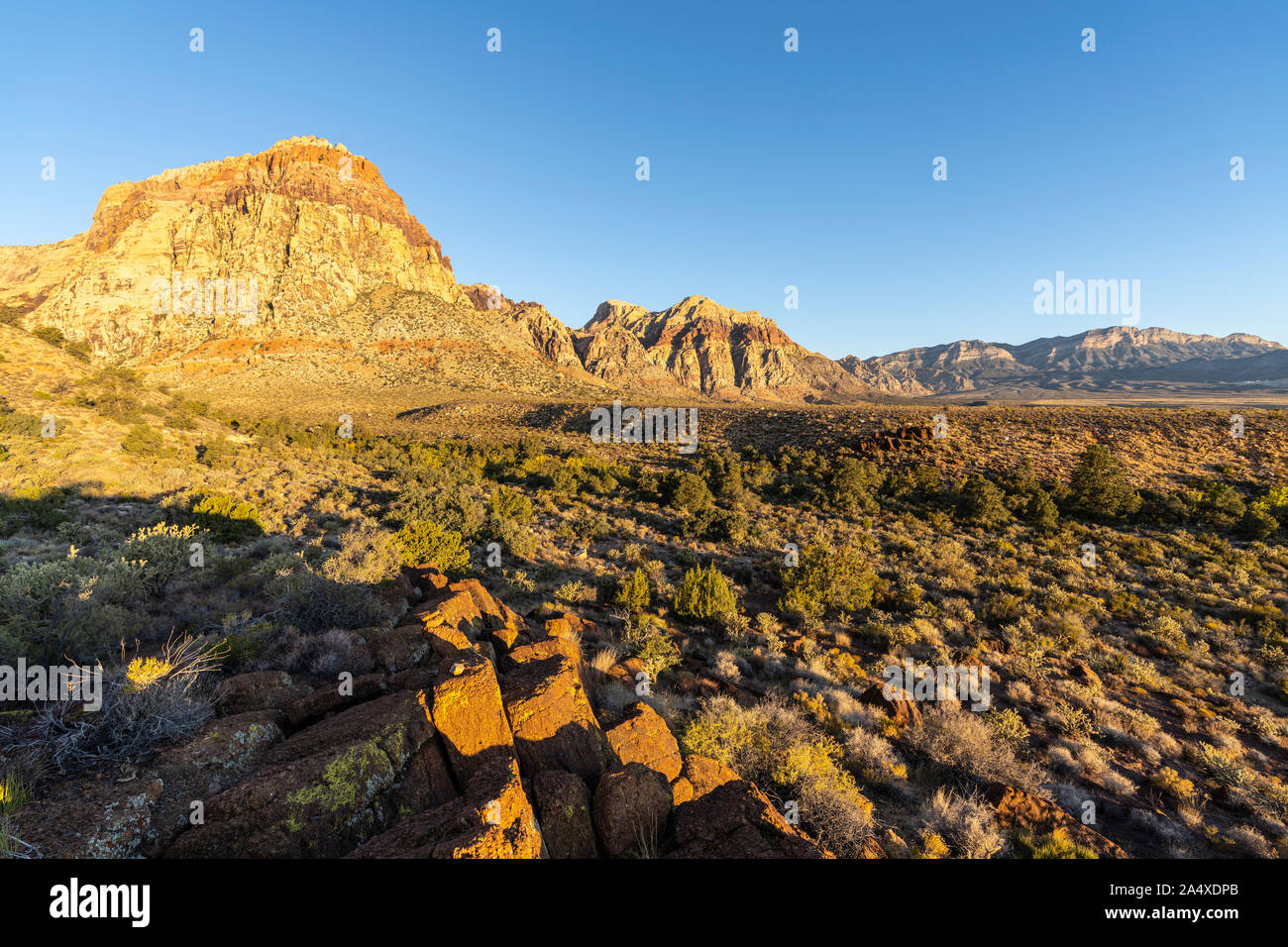 Morgen Licht auf Rainbow Berg im Red Rock Canyon National Conservation Area. Ein beliebtes natürliches Gebiet 20 km vom Las Vegas Strip entfernt. Stockfoto