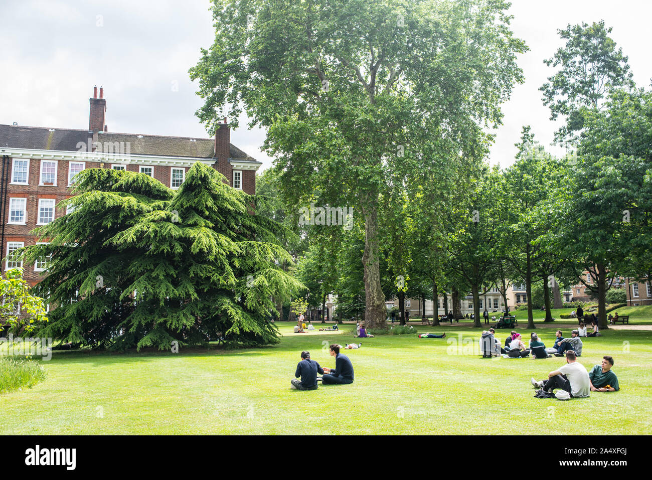 Gray's Inn Spaziergänge Gärten. Leute genießen Gray's Inn Fields Park im Sommer. Holborn, London, UK Stockfoto