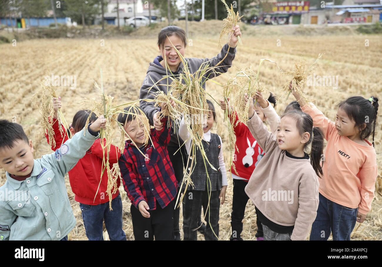 Jiangsu, Zhejiang, China. 17 Okt, 2019. Jiangsu, China - Oktober 16, 2019 ist der Welternährungstag. Im Kindergarten von huaiyin Experimentelle Grundschule in Huaian, Provinz Jiangsu, die Tätigkeit der ''wtoabkommen Korn von mir'' durchgeführt wurde. Die Kinder gingen in das Feld bis Reis Ohren zu holen, wissen die fünf Körner, erleben Sie die Nöte der Landwirte, die Getreide, pflegen und hegen, Korn von mir und gute Gewohnheiten von nun an. Credit: SIPA Asien/ZUMA Draht/Alamy leben Nachrichten Stockfoto