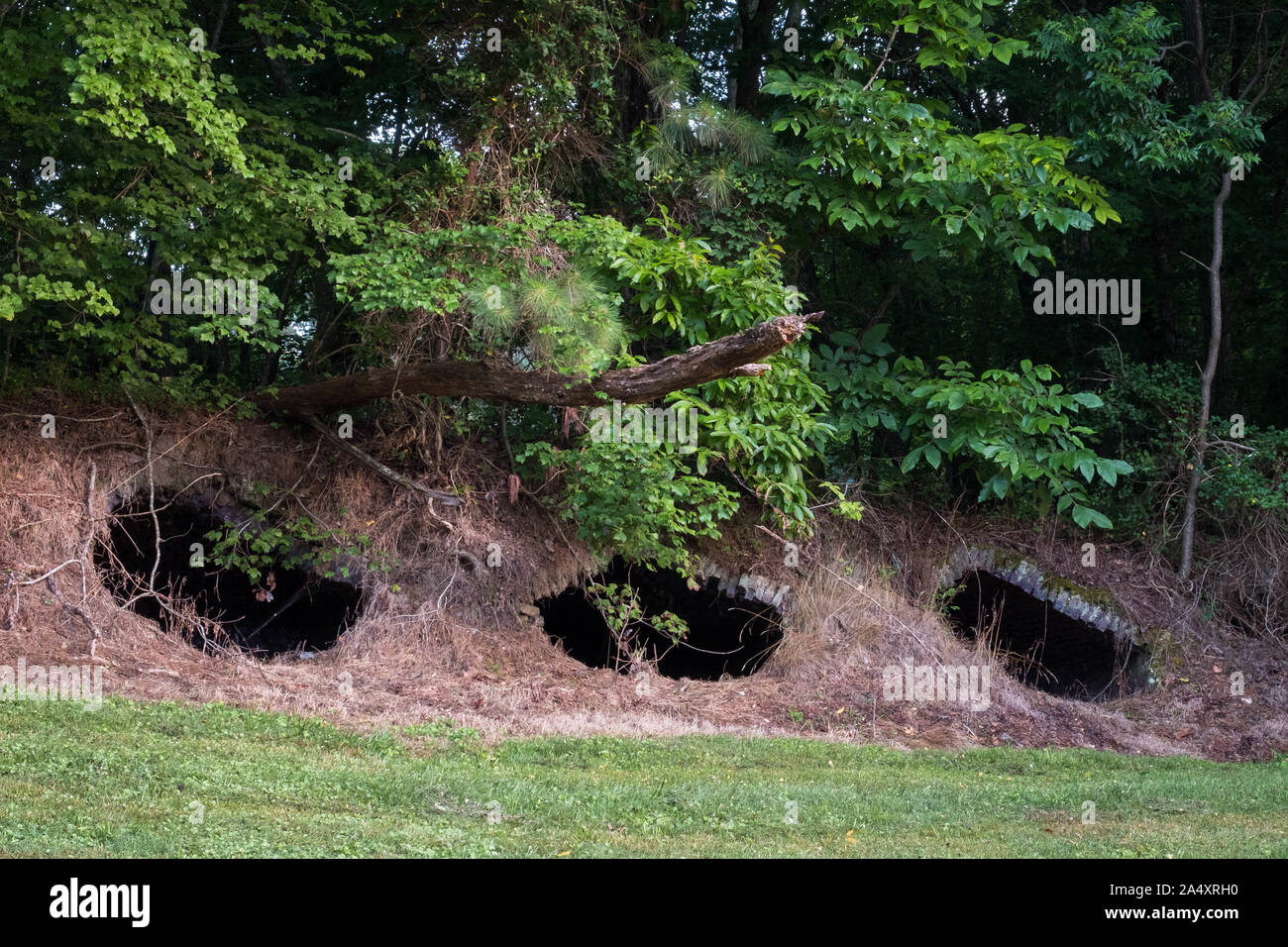 Einige der Koksöfen in den späten 1800er verwendet, um Kohle zu verbrennen, um Steine zu machen. Grundy Lakes Park in Tracy City, Tennessee des Südens Cumberland State Stockfoto