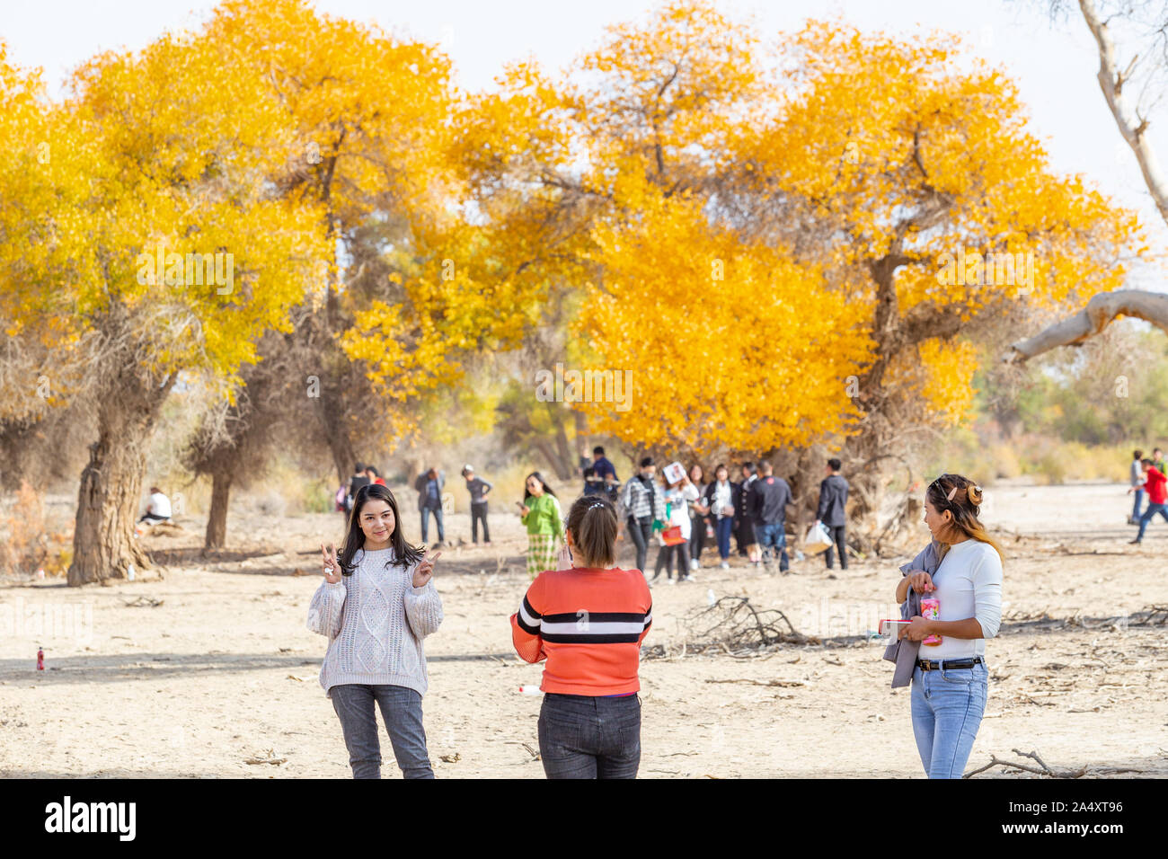 Xinjiang, China. 16 Okt, 2019. Eine Reihe von Aktivitäten wurden in Kuqa Grafschaft gehalten, Provinz Xinjiang unter dem Thema "in der Liebe mit euphrate Pappel Ã'Â· bunte qiuci'' fallen. In der Grafschaft Tarim Gemeinde Hu Yang Lin malerischen Ort, verschiedene Programme und Aktivitäten wie Flash Mob, Junggesellenabschied, Hundekämpfe und Tanzen wurden inszeniert. 25 Paare auf ihrer Hochzeit Kleider und ging der rote Teppich für eine Gruppe Hochzeit. Credit: ZUMA Press, Inc./Alamy leben Nachrichten Stockfoto