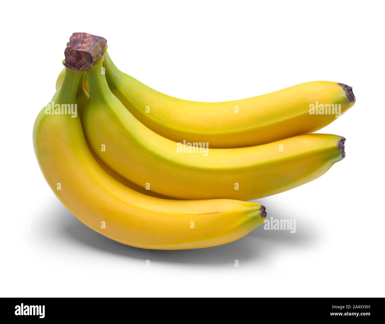 Kleine Bündel Bananen isoliert auf weißem Hintergrund. Stockfoto
