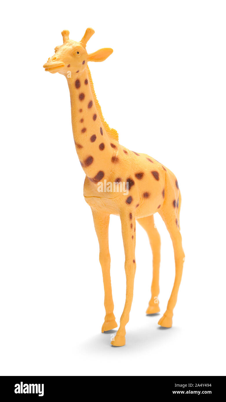 Spielzeug Giraffe Vorderansicht isoliert auf weißem Hintergrund. Stockfoto