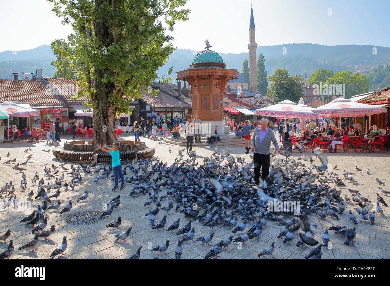 SARAJEVO, BOSNIEN UND HERZEGOWINA - September 15, 2019: Ein lokaler Mann füttern Tauben vor dem hölzernen Brunnen Sebilj, mit Bascarsija Moschee Stockfoto