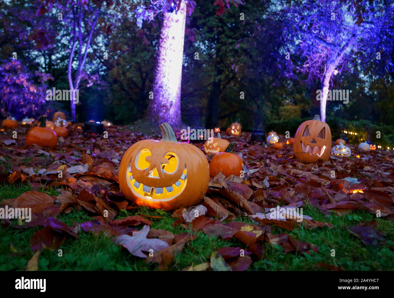 Vancouver, Kanada. 16 Okt, 2019. Geschnitzte Kürbisse sind auf dem Halloween themed'Glow bei den Garten' an VanDusen Garten in Vancouver, Kanada, 16. Okt., 2019 gesehen. Credit: Liang Sen/Xinhua/Alamy leben Nachrichten Stockfoto