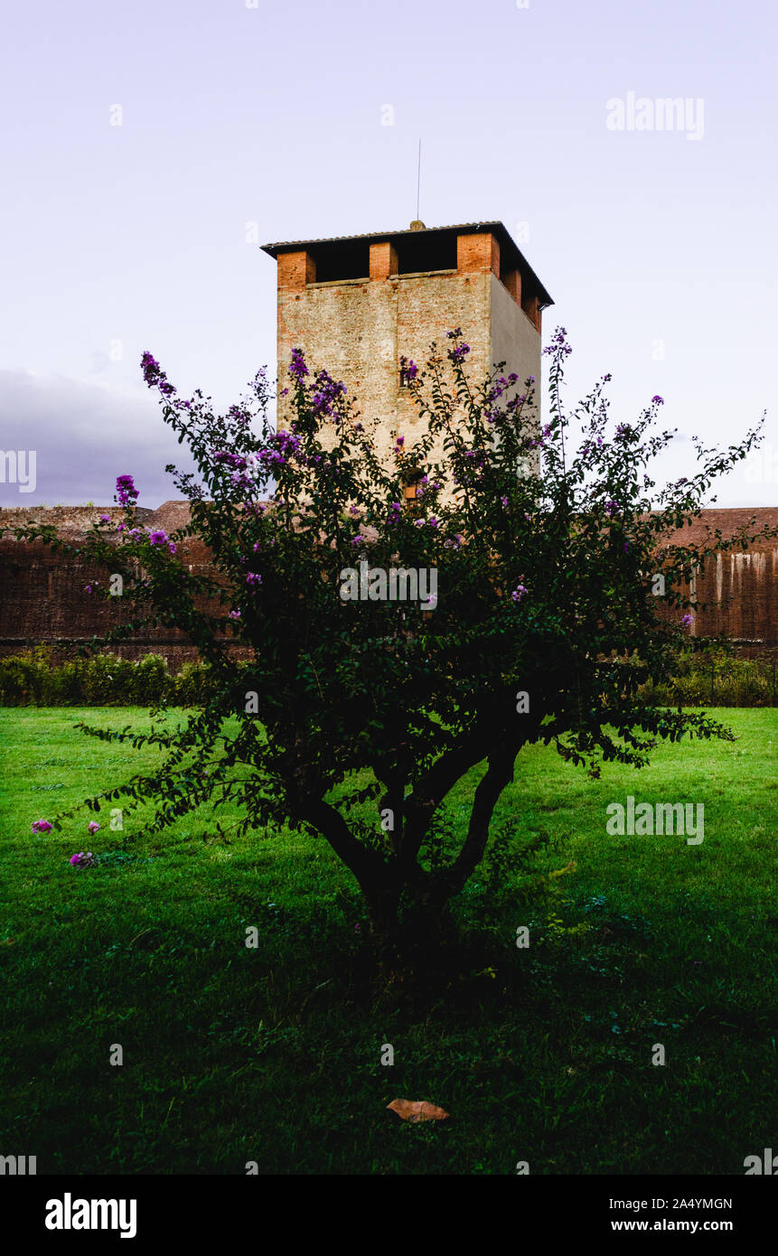 Pistoia Toskana Italien Saint Barbara alte Festung der Stadt gebaut von Bernardo Buontalenti mit dem Main Tower und Mauerwerk Stockfoto