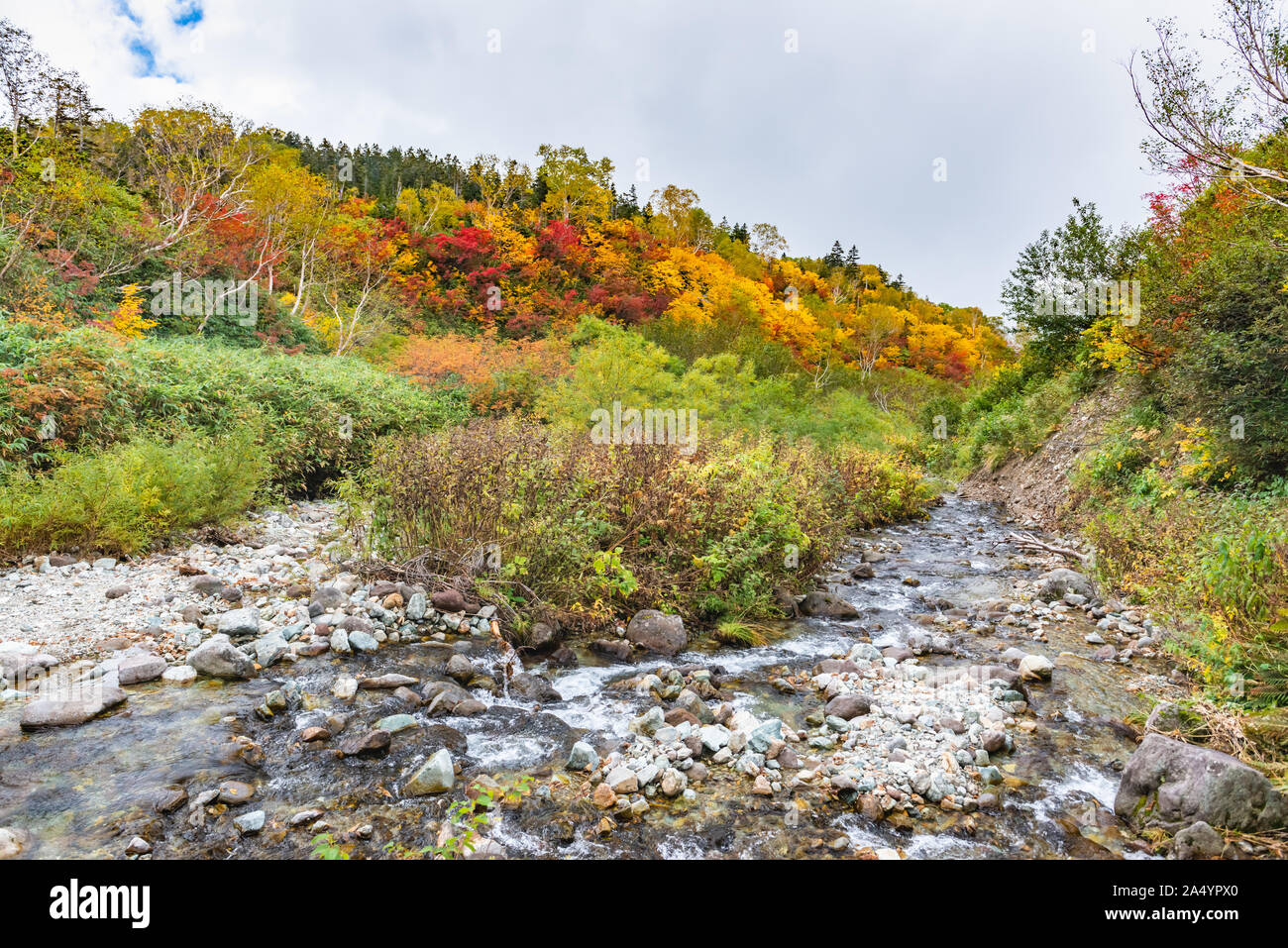 Tsugaike Naturpark an nagono, otari Dorf Stockfoto