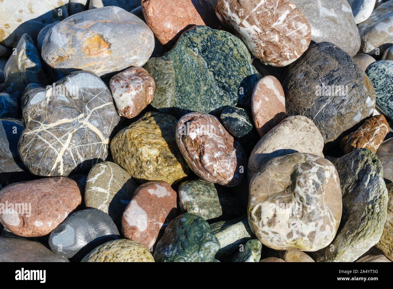 Farbige Steinchen auf Schotter Bank in Isarauen, in der Nähe von Geretsried, Oberbayern, Bayern, Deutschland Stockfoto