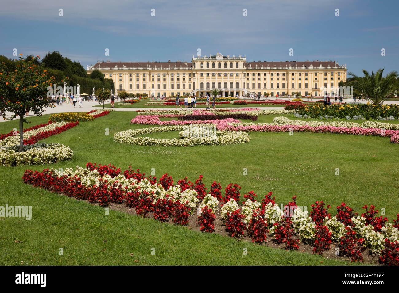 Blumenbeete vor Schloss Schönbrunn, Wien, Österreich Stockfoto