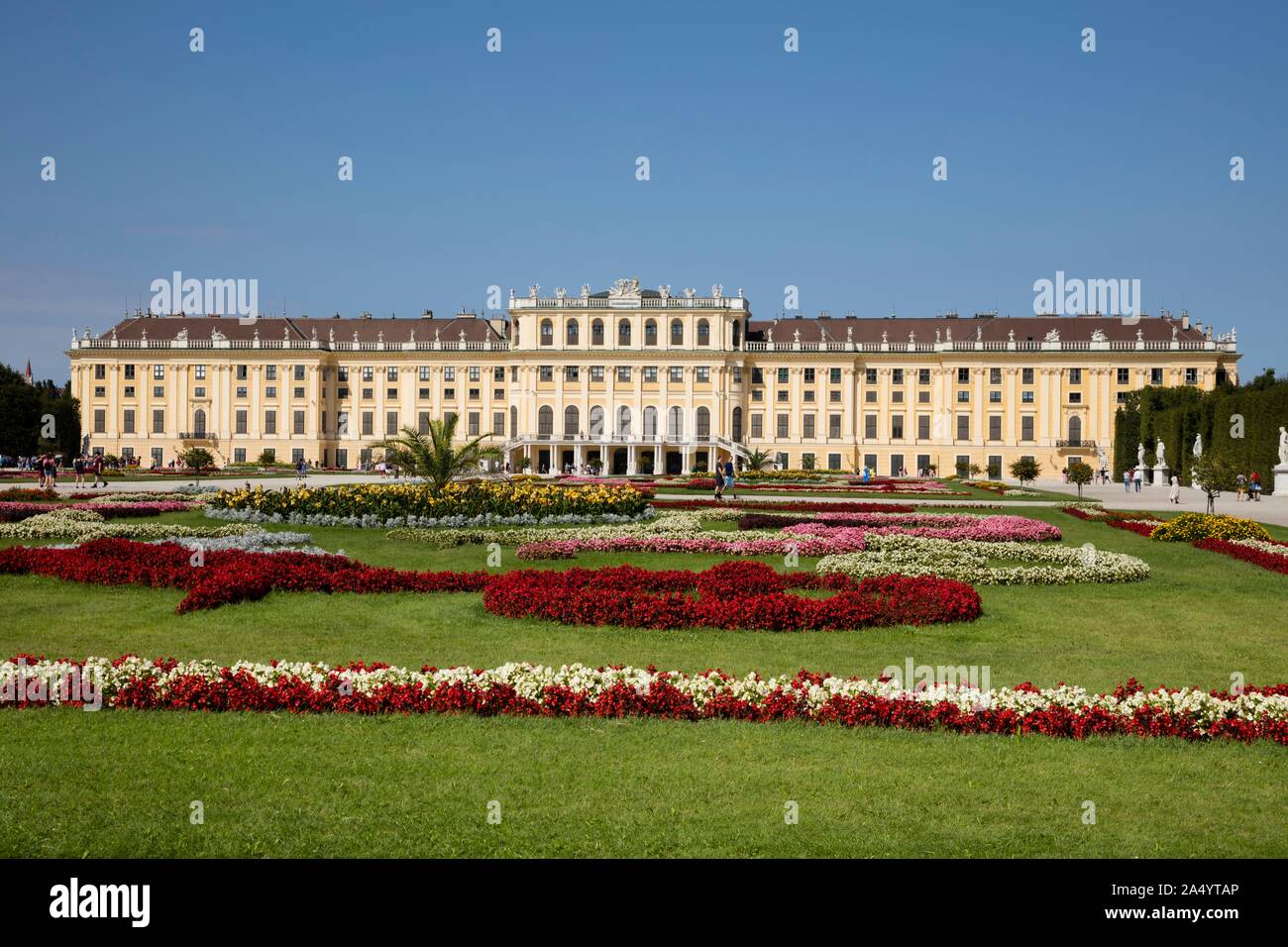 Blumenbeete vor Schloss Schönbrunn, Wien, Österreich Stockfoto