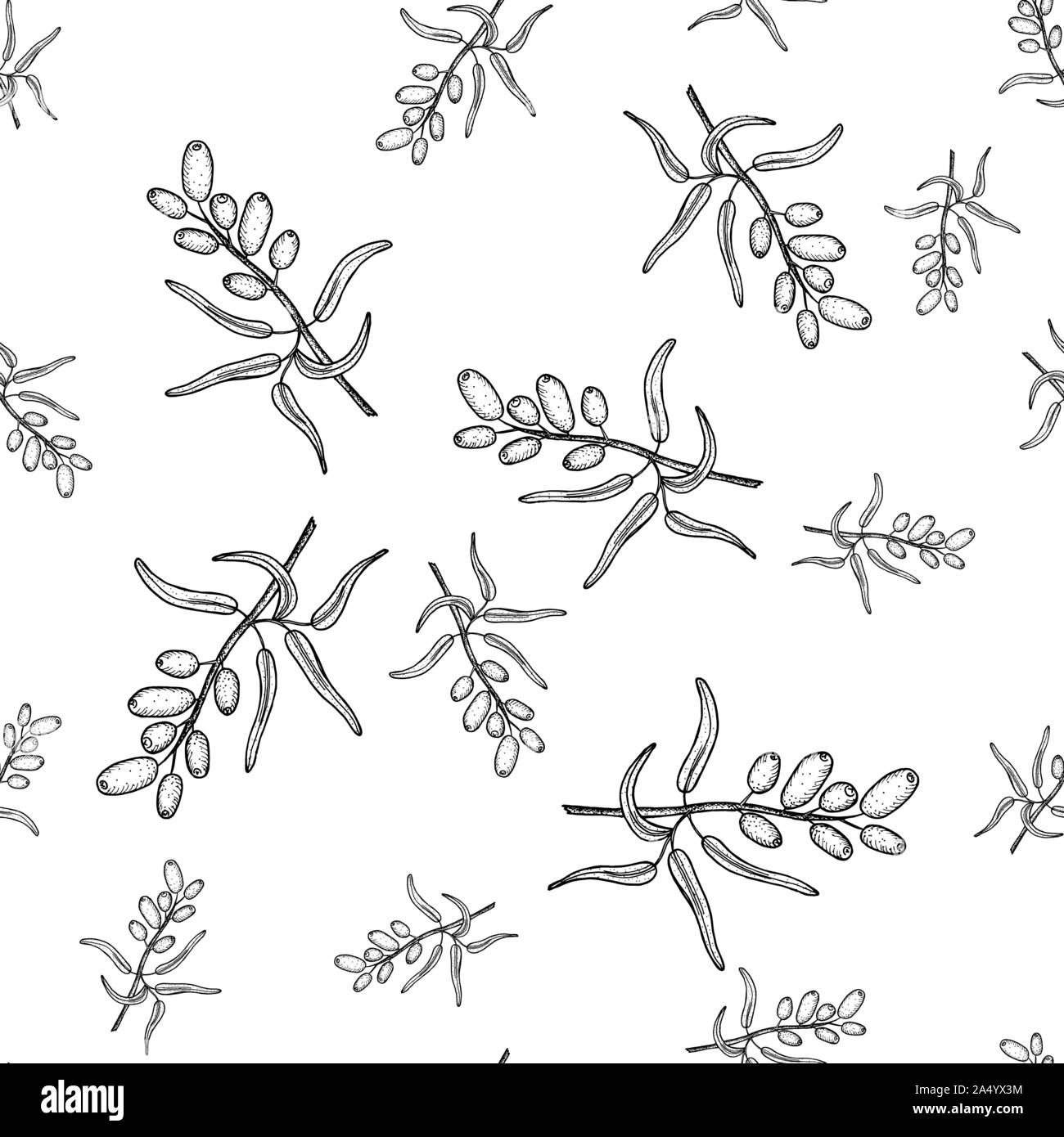 Sanddorn, Zweig mit Beeren. Nahtlose Muster. Hand Made vektor Zeichnung in der Art der Gravur. Essen, Dessert, Medizin Stock Vektor