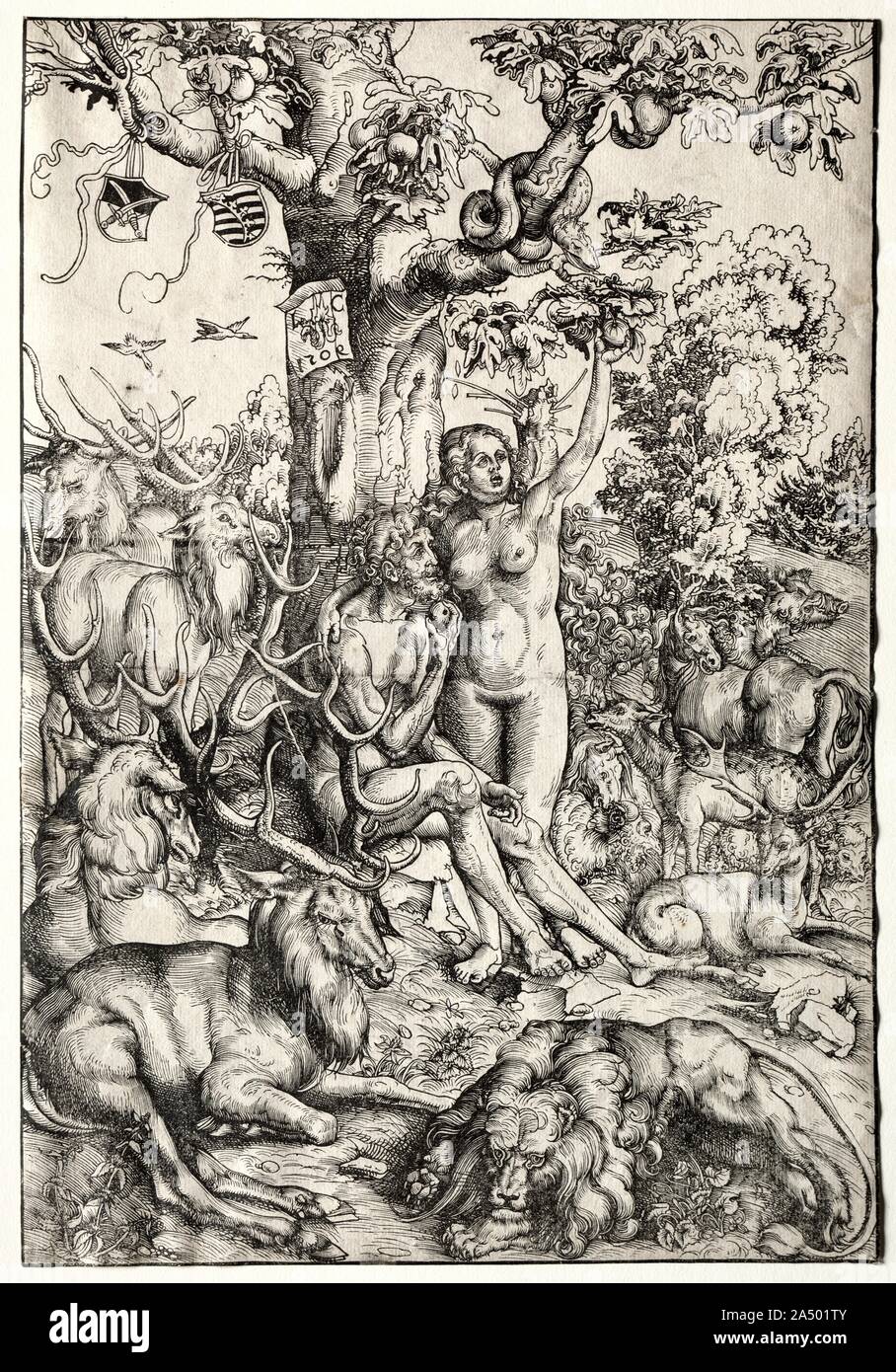 Adam und Eva im Paradies, 1509. Merkmal der deutschen Renaissance Kunst, Cranach &#x2019;s Drucken spiegelt das Interesse an der Welt der Natur. Hier, ein Löwe und Hirsch &#x2014; natürliche Feinde zusammen ruhen friedlich &#x2014; symbolisieren ein irdisches Paradies Momente, bevor Adam und Eva die verbotene Frucht, geglaubt, die Sache der Menschheit zu werden &#x2019;s sündigen Natur und Mortalität. In diesem Holzschnitt, Cranach verwendet geschwungenen schwarzen Linien die natürlichen Eigenschaften von Fell zu emulieren. Seine Pinselstriche in den nahe gelegenen Malerei Jagd in der Nähe von Schloss Hartenfels veranschaulichen Hirsch mit einen ähnlichen Sinn für Realismus. Stockfoto