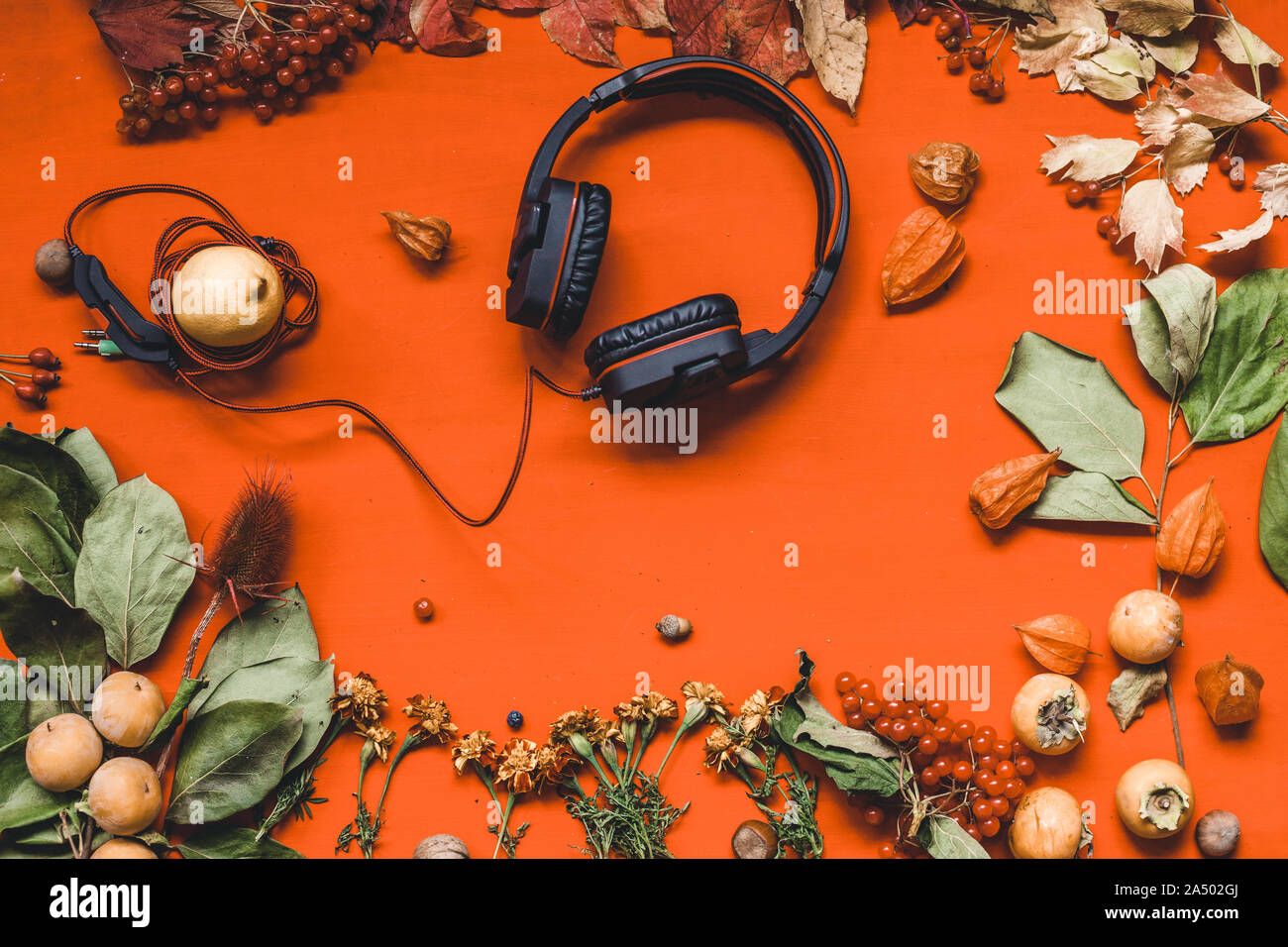 Herbst Hintergrund Musik Kopfhörer gelbe Blätter in den roten Tisch Stockfoto