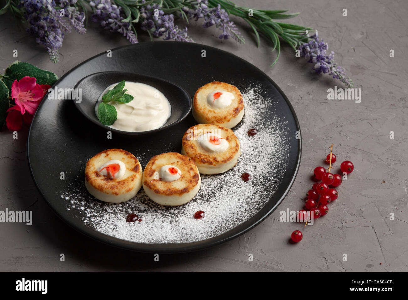 Pfannkuchen mit Sauerrahm in eine schwarze Platte mit Puderzucker auf grauem Hintergrund Stockfoto
