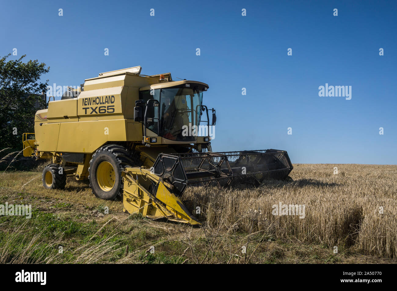 Ein New Holland TX65 Mähdrescher bei der Ernte an einem sonnigen Tag. Stockfoto
