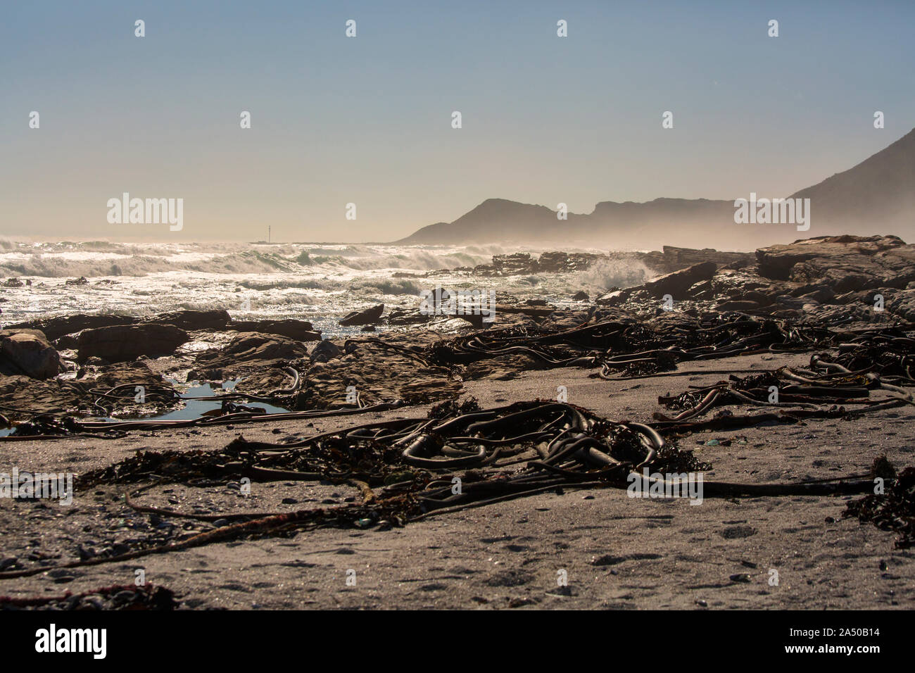 Scarborough Beach mit Seetang in der Nähe von Kapstadt Südafrika Stockfoto