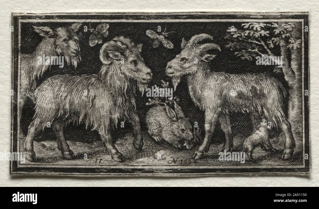 Ziegen und Hasen, 1594. Stockfoto