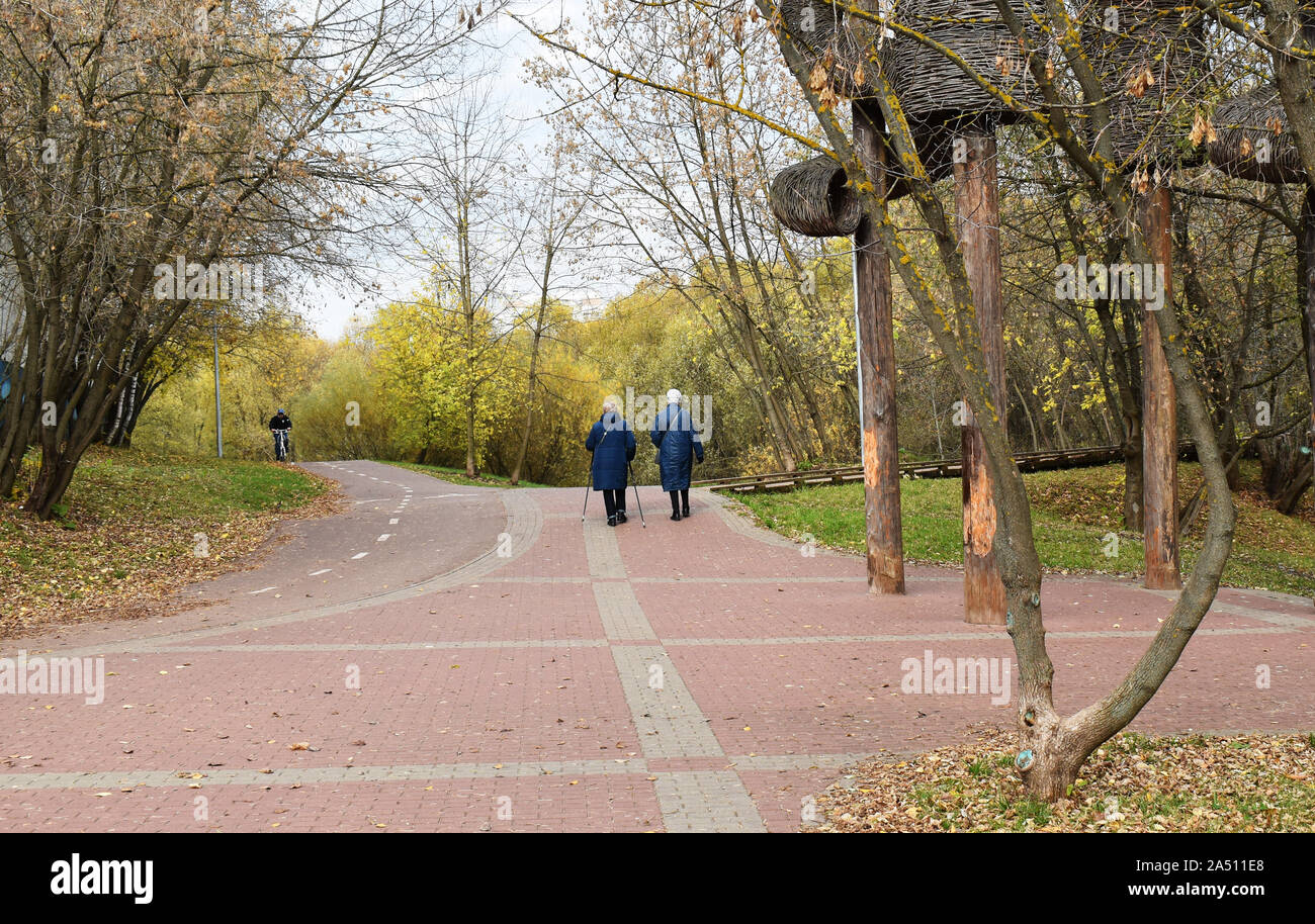 Ein paar der älteren Frauen im Park zusammen gehen. Fliese Schiene Straße. Herbst sonniges Wetter, gelb Birkenblätter Wald. Aktive alter Nordic Walking Stockfoto