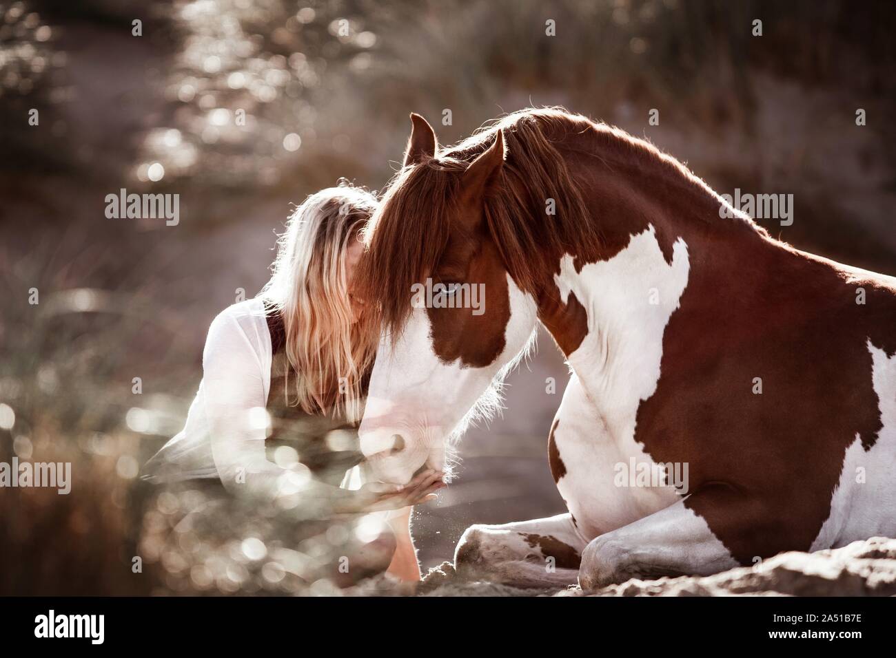 Frau und Welsh Pony Stockfoto