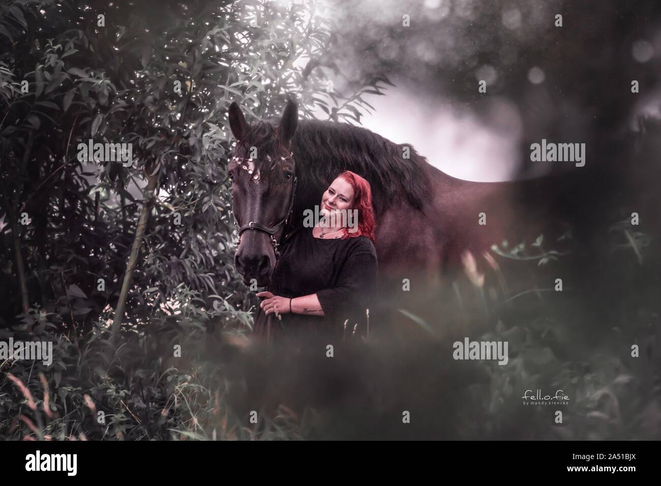 Frau mit Pferd Stockfoto