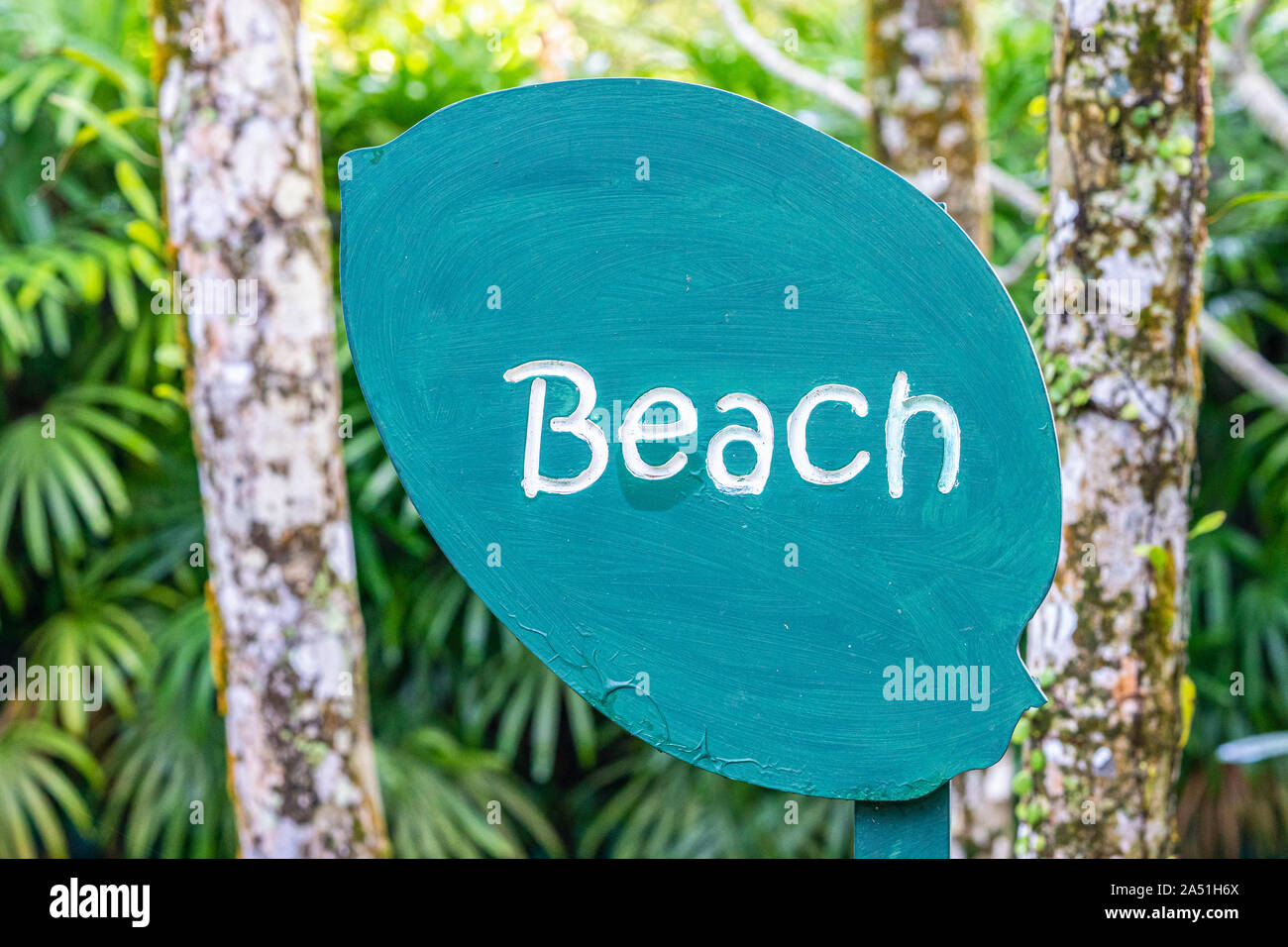 Zeichen Zeiger Strand, aus Holz, in Form eines Blattes, grün, zeigt die Richtung an, in der auf der linken Seite, die Straße zum Strand, auf dem Hintergrund der grüne t Stockfoto