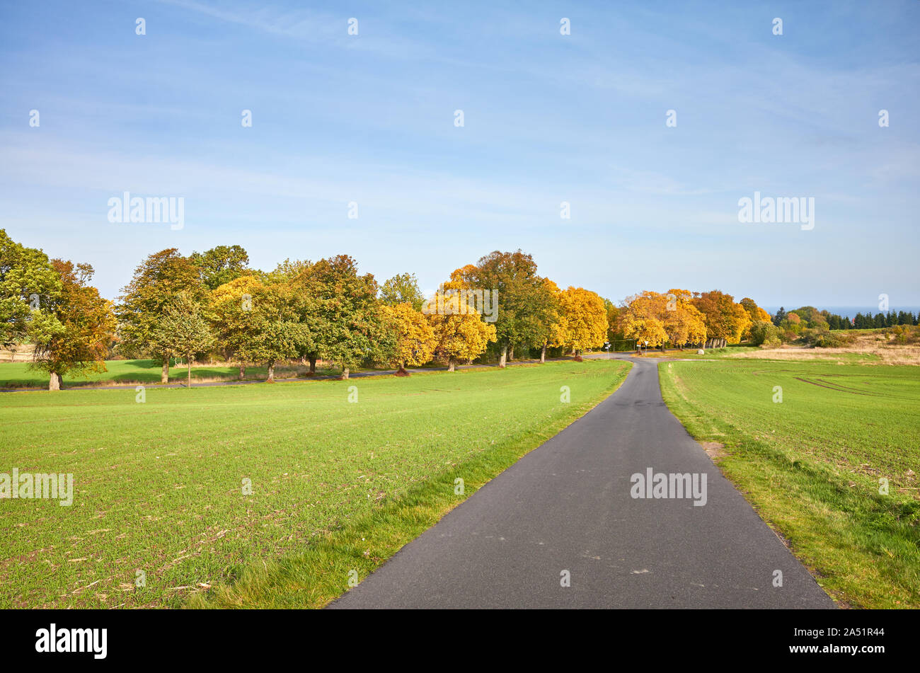Scenic Country Road im frühen Herbst. Stockfoto