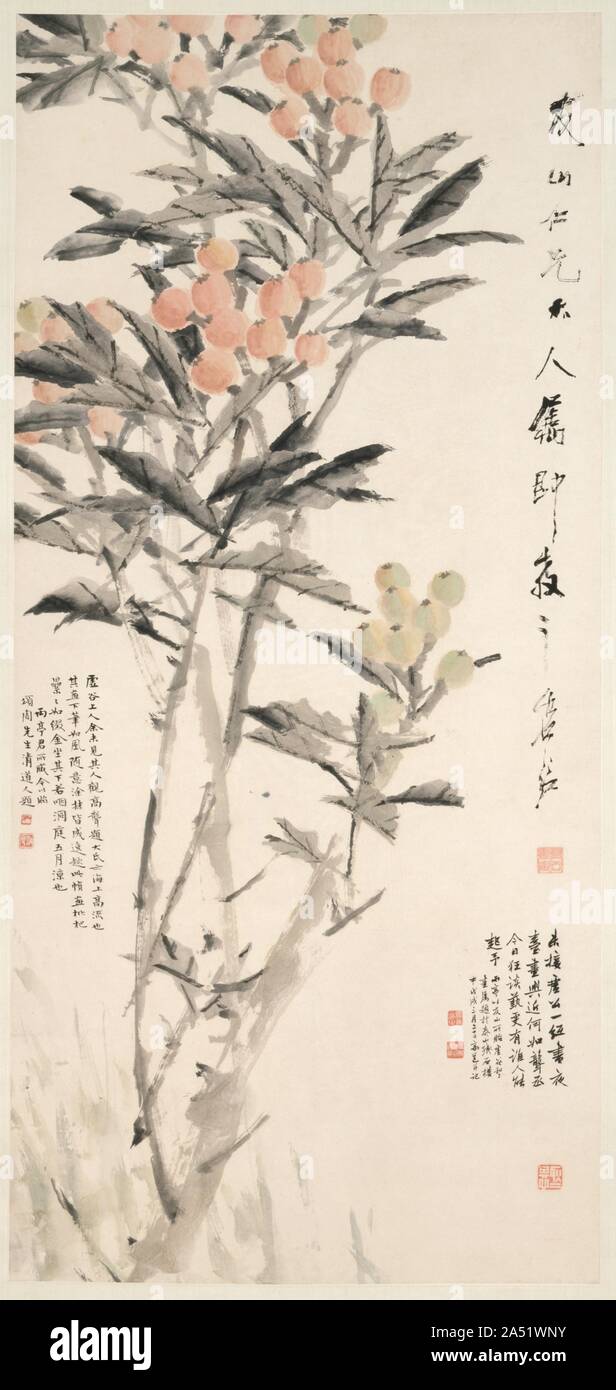 Pipa (Mispeln), C. 1888-89. Der Loquat ist eine Pflanze, die ursprünglich aus China, die eine saftige, gelbe Frucht im Frühsommer produziert. Der Künstler kann absichtlich die Niederlassungen über das Papier hinaus ihre Fülle von Obst zu betonen. Xugu eingeschrieben sein Bild auf der rechten Seite, widmet die Arbeit bis zu einem gewissen Herrn Youshan. Zwei weitere Inschriften von anderen Autoren kamen später hinzu, jedes Mal, wenn die Malerei Besitzer gewechselt. Xugu gab seine Karriere als Militärs während der taiping Rebellion (1850-64) und wurde zu einem umherziehenden Mönch, der für ein Leben gemalt. Er verbrachte die letzten Jahre seines Lebens Stockfoto