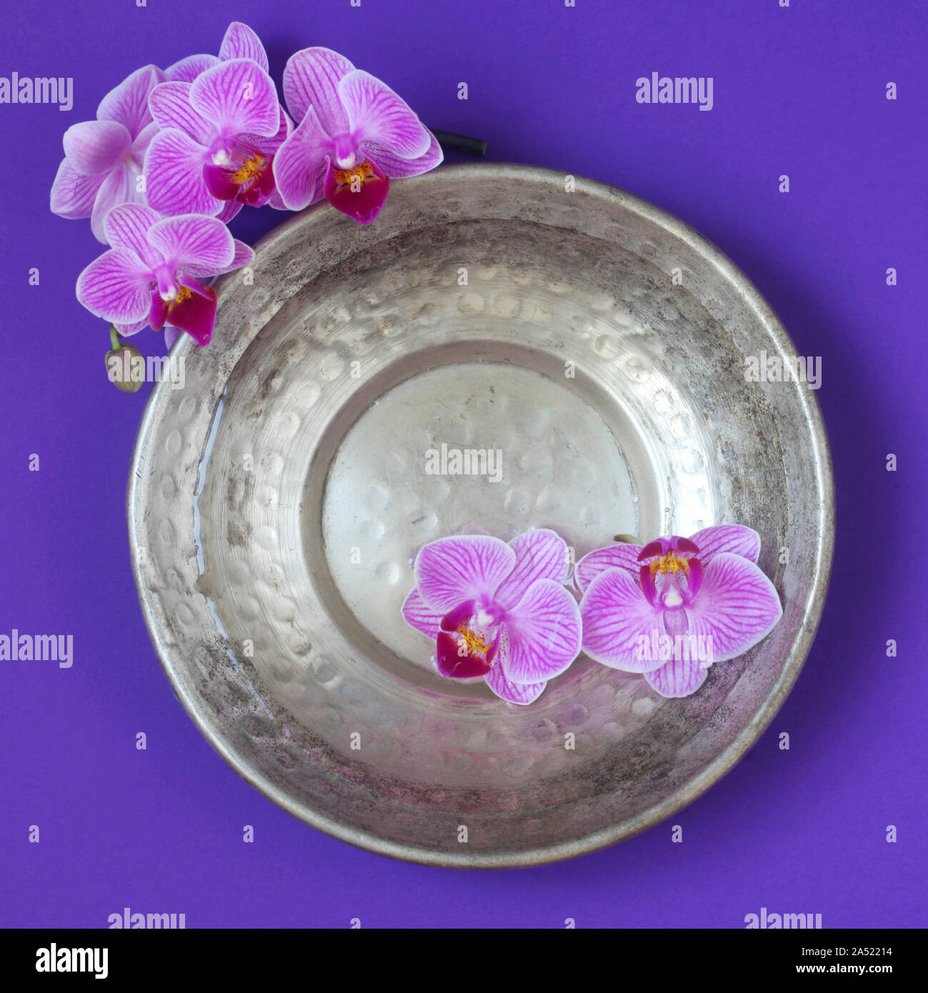 Wasser und Orchideen in einer Metallschüssel Stockfoto
