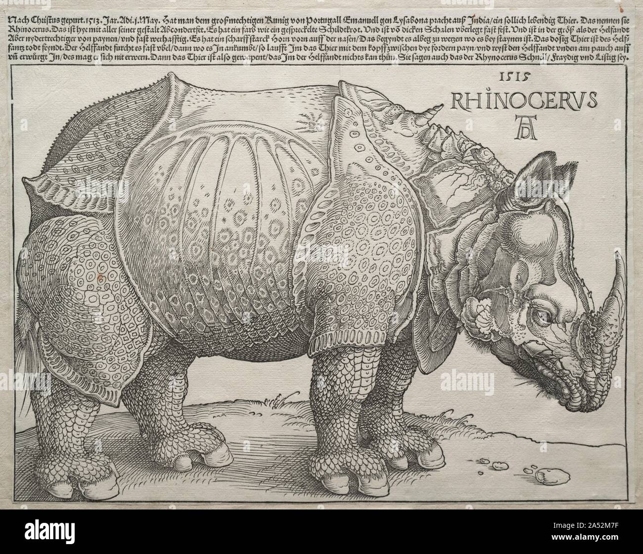 Das Rhinozeros, 1515. Im Mai 1515, das erste Nashorn seit der Antike, Europa zu erreichen lebendig angekommen in Lissabon, Portugal. Der Herrscher von Gujarat, Sultan Muzafar II, präsentierte die exotische Tier an den Gouverneur von Portugiesisch Indien, Alfonso d&#x2019;Albuquerque, der Sie dann zum König Manuel I. gesendet werden später in diesem Jahr wurde der König sandte das Tier als politisches Geschenk an Papst Leo X. Leider, das Schiff auf dem Weg nach Italien gesunken, und das Rhinozeros ertrunken. D&#xfc;rer und seine Zeitgenossen waren mit Entdeckungen der natürlichen Welt fasziniert, und das Rhinozeros seine Reise gemacht, Berichte des Tieres verbreitet ac Stockfoto