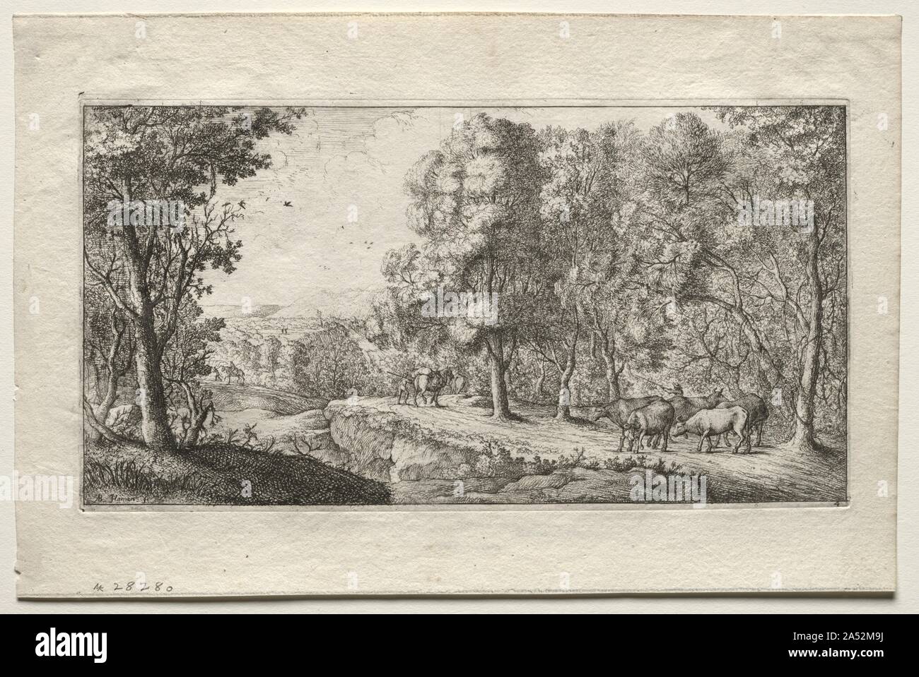 Die Straße an der Grenze zum Wald. Stockfoto