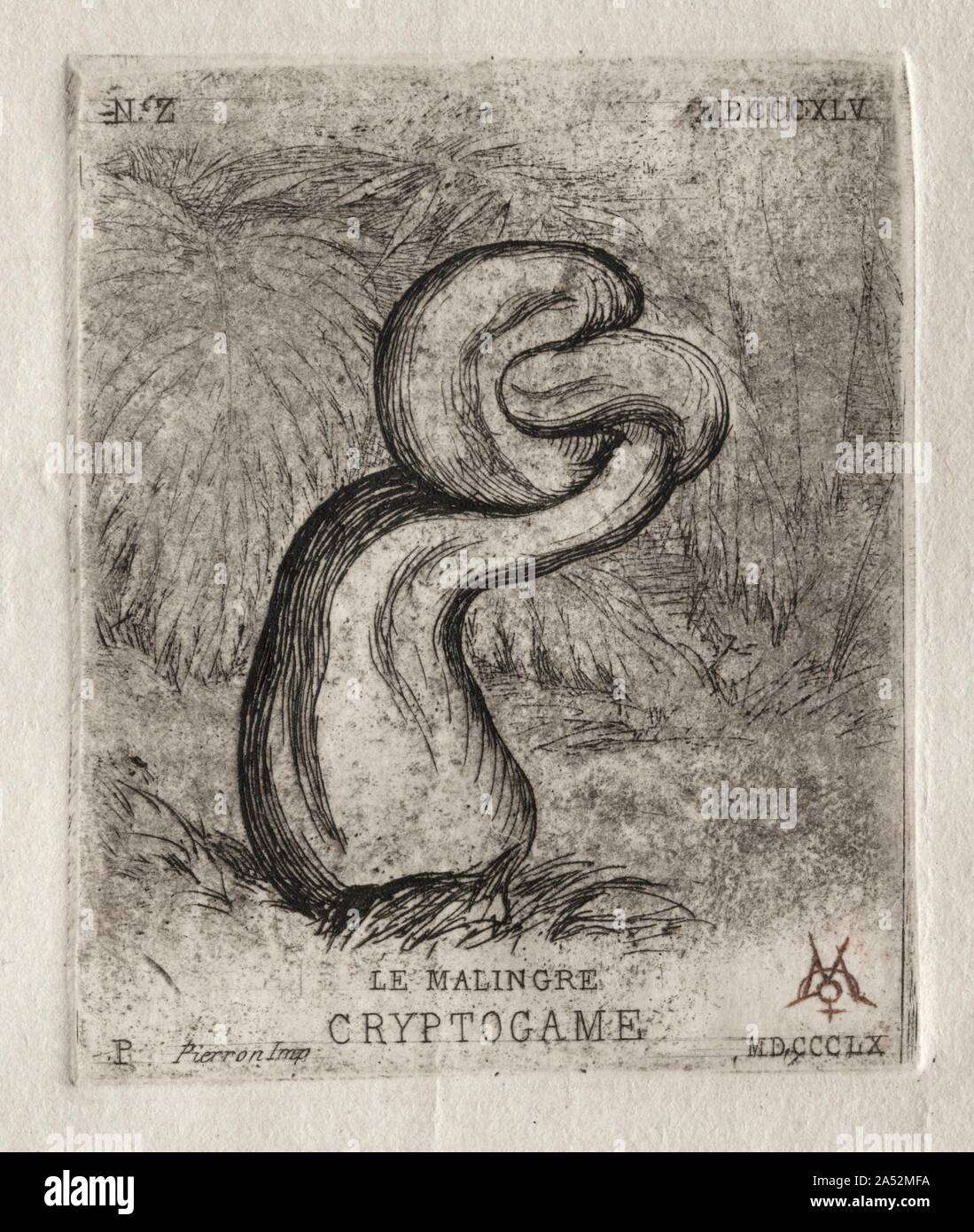 Die kränklich Cryptogam, 1860. Stockfoto