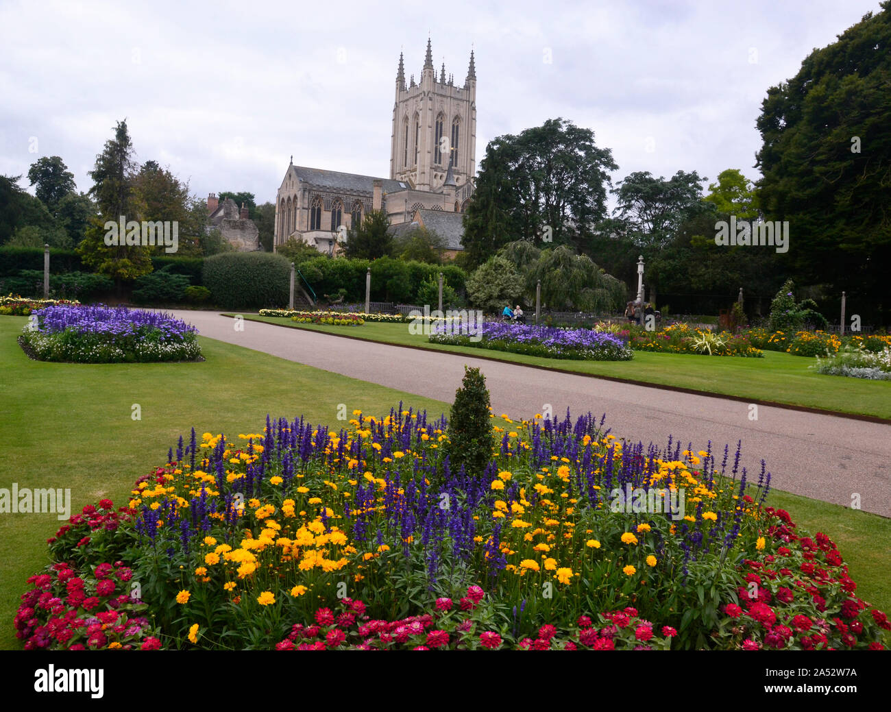 Blick auf Edmudsbury Kathedrale über die Abbey Gardens, Bury St. Edmunds, Suffolk, Großbritannien Stockfoto