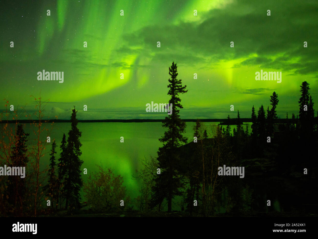 Aurora Borealis, oder Northern Lights, in der Nähe von Yellowknife, NWT, Kanada, Herbst Stockfoto