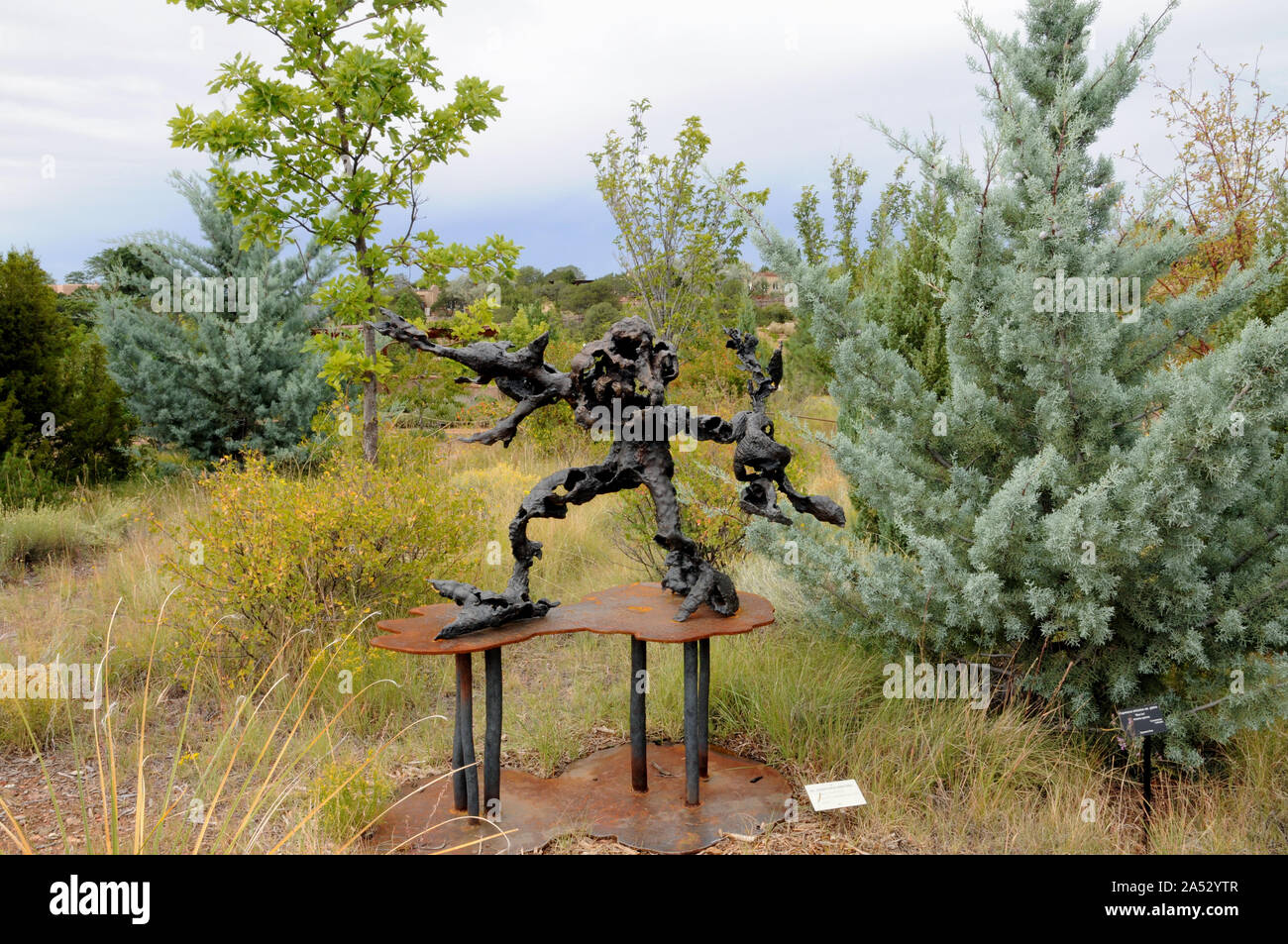 Bronze Skulpturen in der Santa Fe botanischer Garten. Sie wurde im Rahmen einer Ausstellung mit dem Titel "in der Natur des Menschen." Diese Arbeit ist von Jonathan Hertzel. Stockfoto