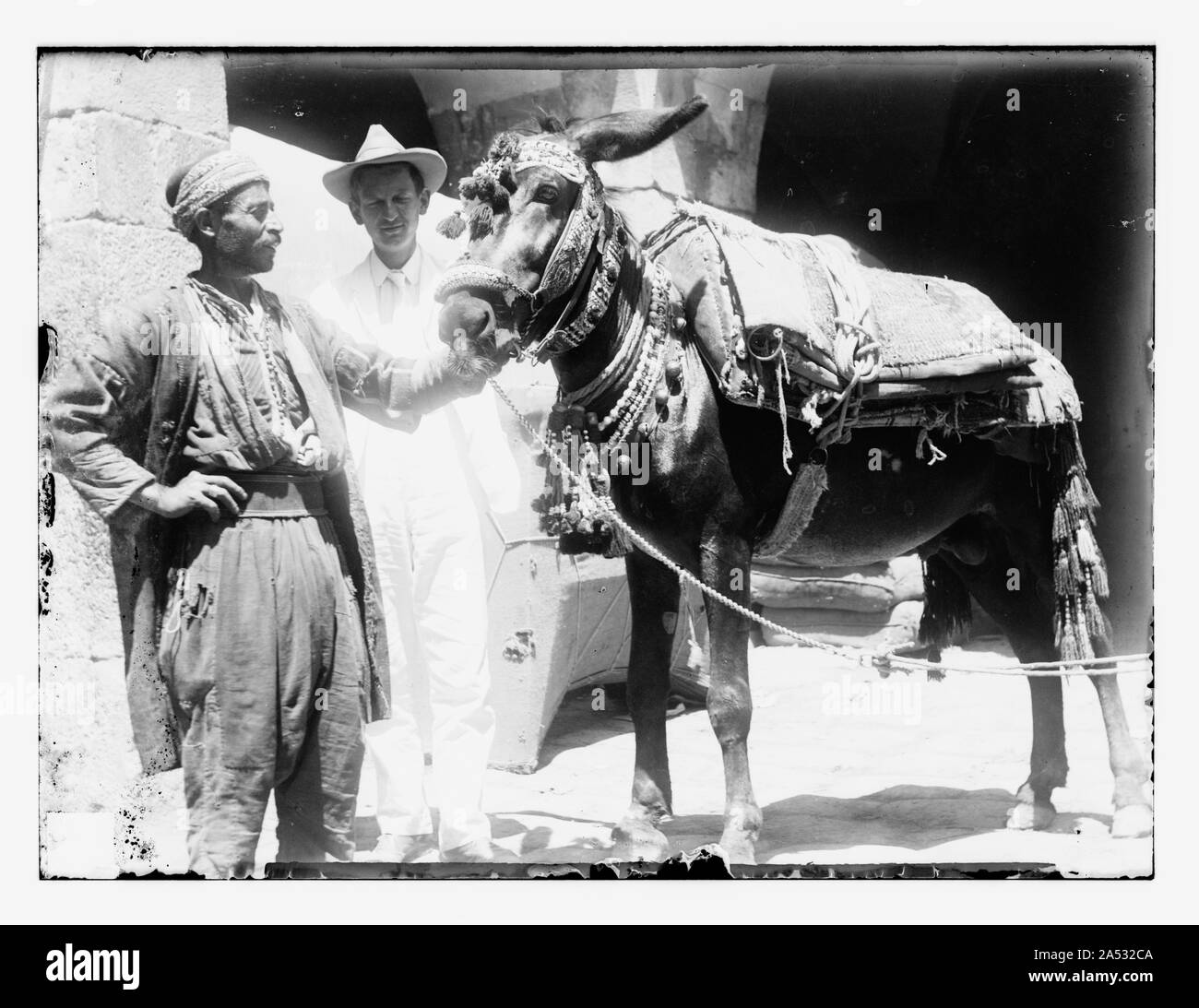 Zwei Männer mit einem Esel, der trägt eine aufwendige Zaumzeug und Sattel Stockfoto