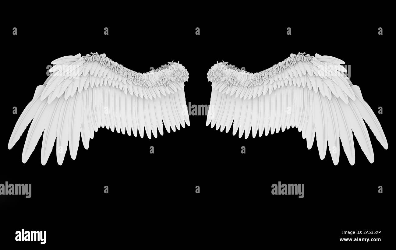 Realistische elegante weiße Engel Flügel auf schwarzen Hintergrund, 3D-Rendering. Stockfoto