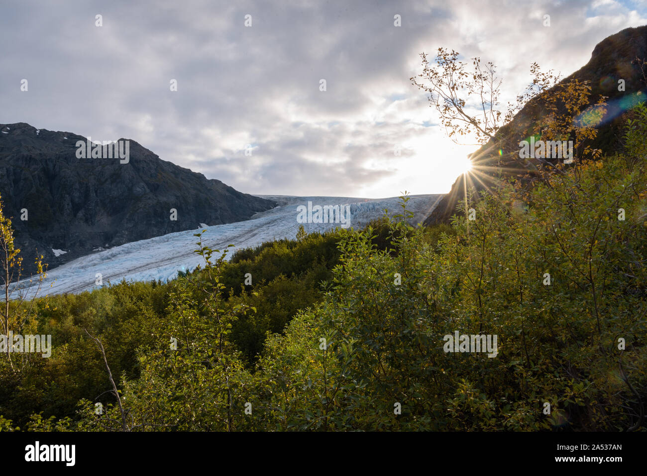 Blick auf Exit Glacier, Harding Icefield, Kenai Fjords National Park Seward, Alaska, United States Stockfoto