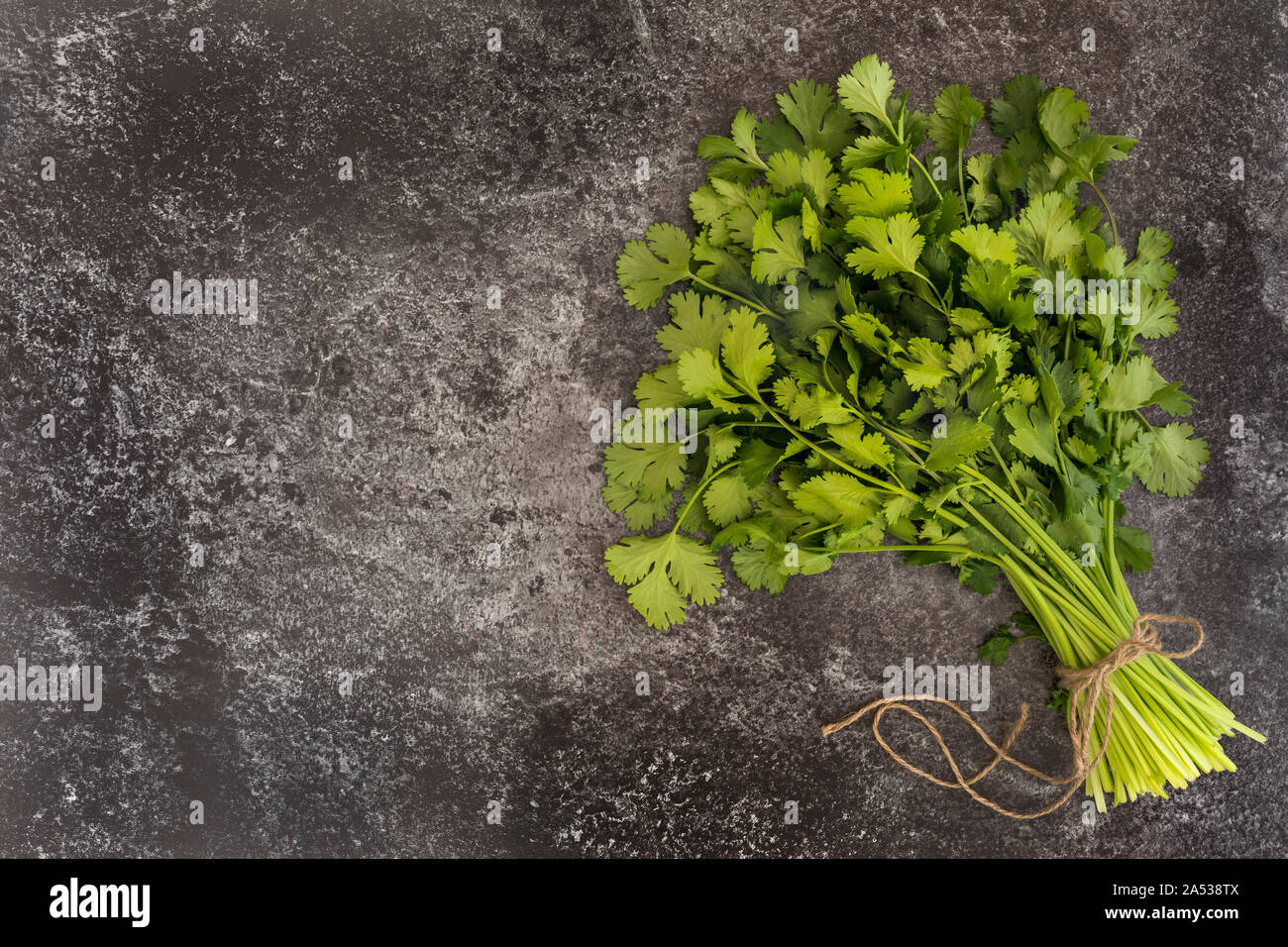 Ein Bündel von Cilantro Koriander zusammen durch eine natürliche Jute Band gebunden auf einem dunklen Stein Oberfläche. Noch immer leben flach auf Stein Hintergrund. Kopieren auf der Stockfoto