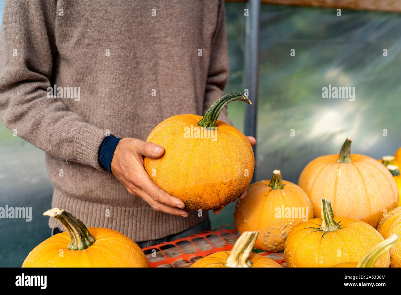 Bauer mit bunten orange Bio Kürbis Stockfoto