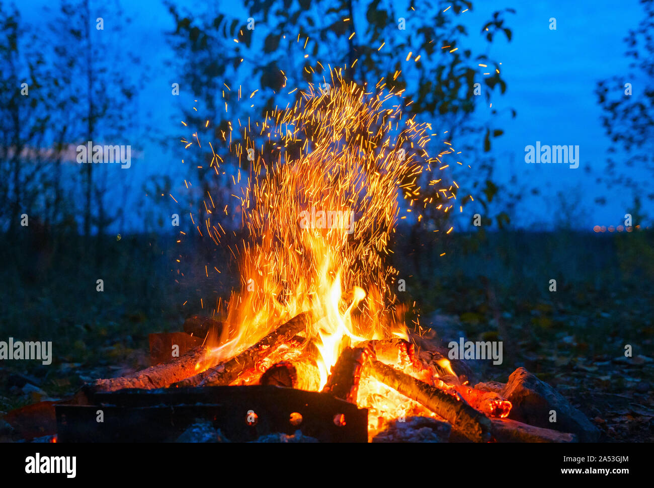 Red Fire Flame in dunklen Abend auf blauem Hintergrund Stockfoto