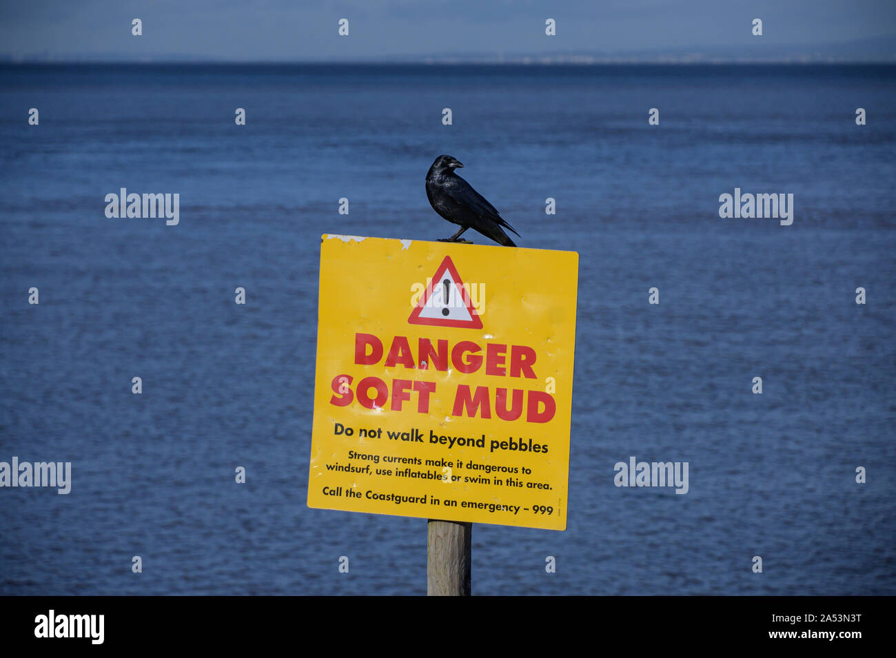 Eine schwarze Krähe Sitzstangen auf eine Gefahr weichen Schlamm Zeichen am Meer Stockfoto