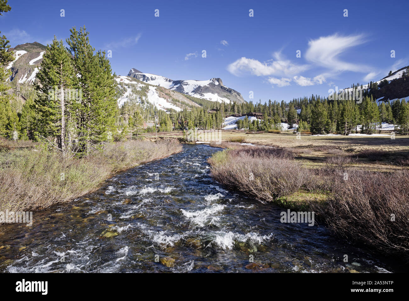 Mount Dana steigt über Lee Vining Creek auf der Ostseite der Tioga Pass Stockfoto