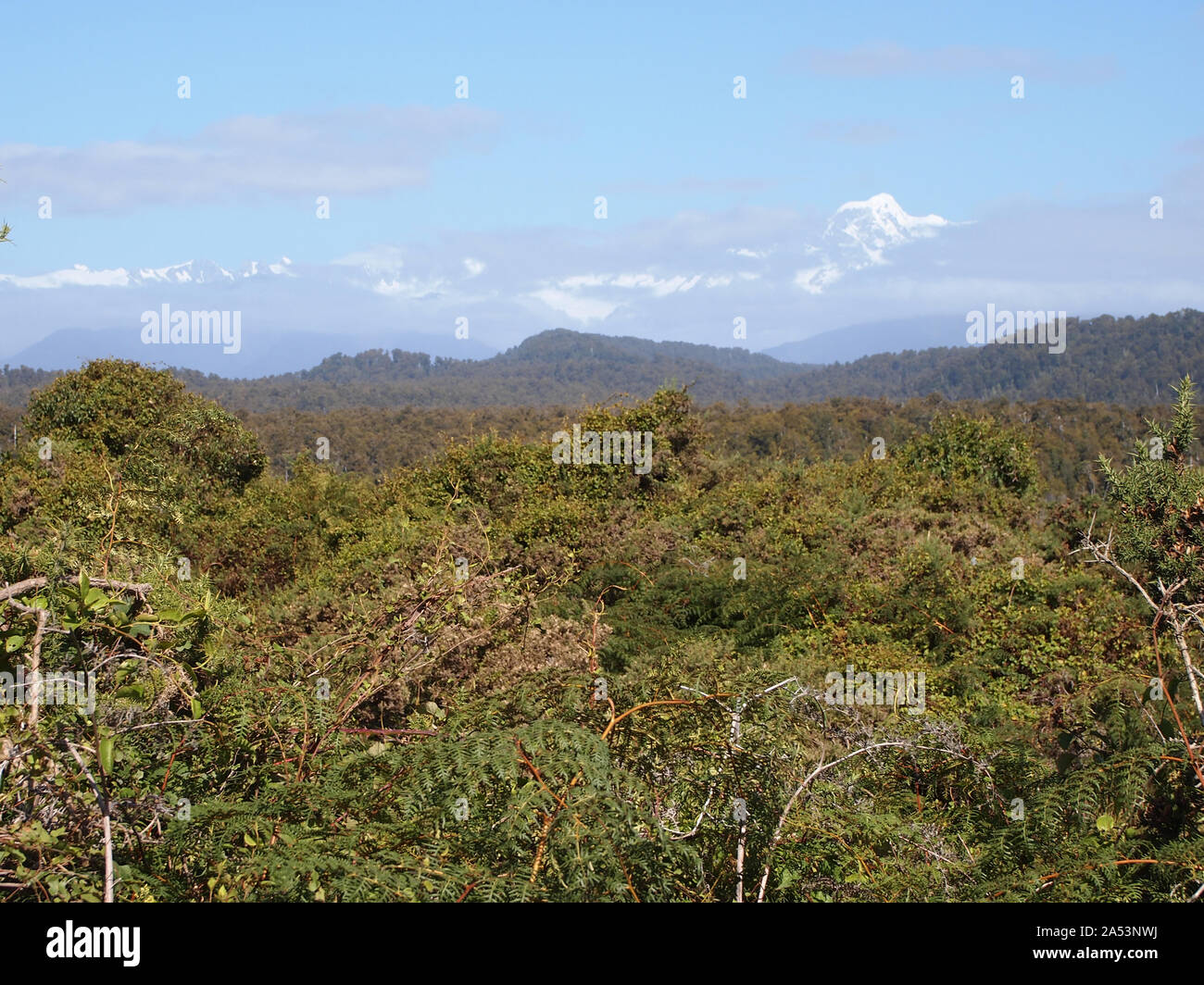 Die schneebedeckten Alpen über einen Strand im Süden der Insel West Coast, Neuseeland Stockfoto