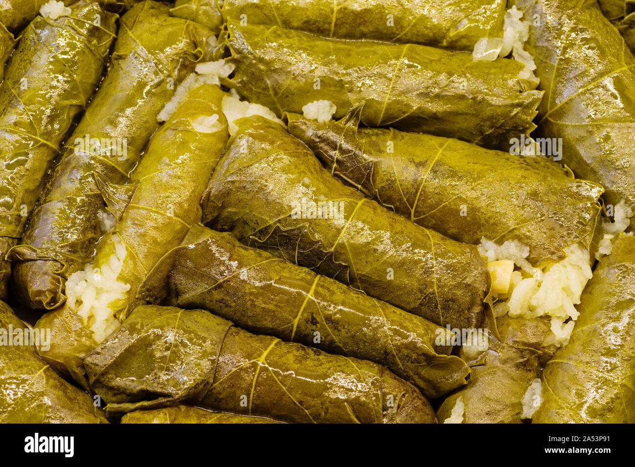 Frisch gekocht oder gefüllt dolmas Weinblätter in einer Pfanne verpackt Stockfoto