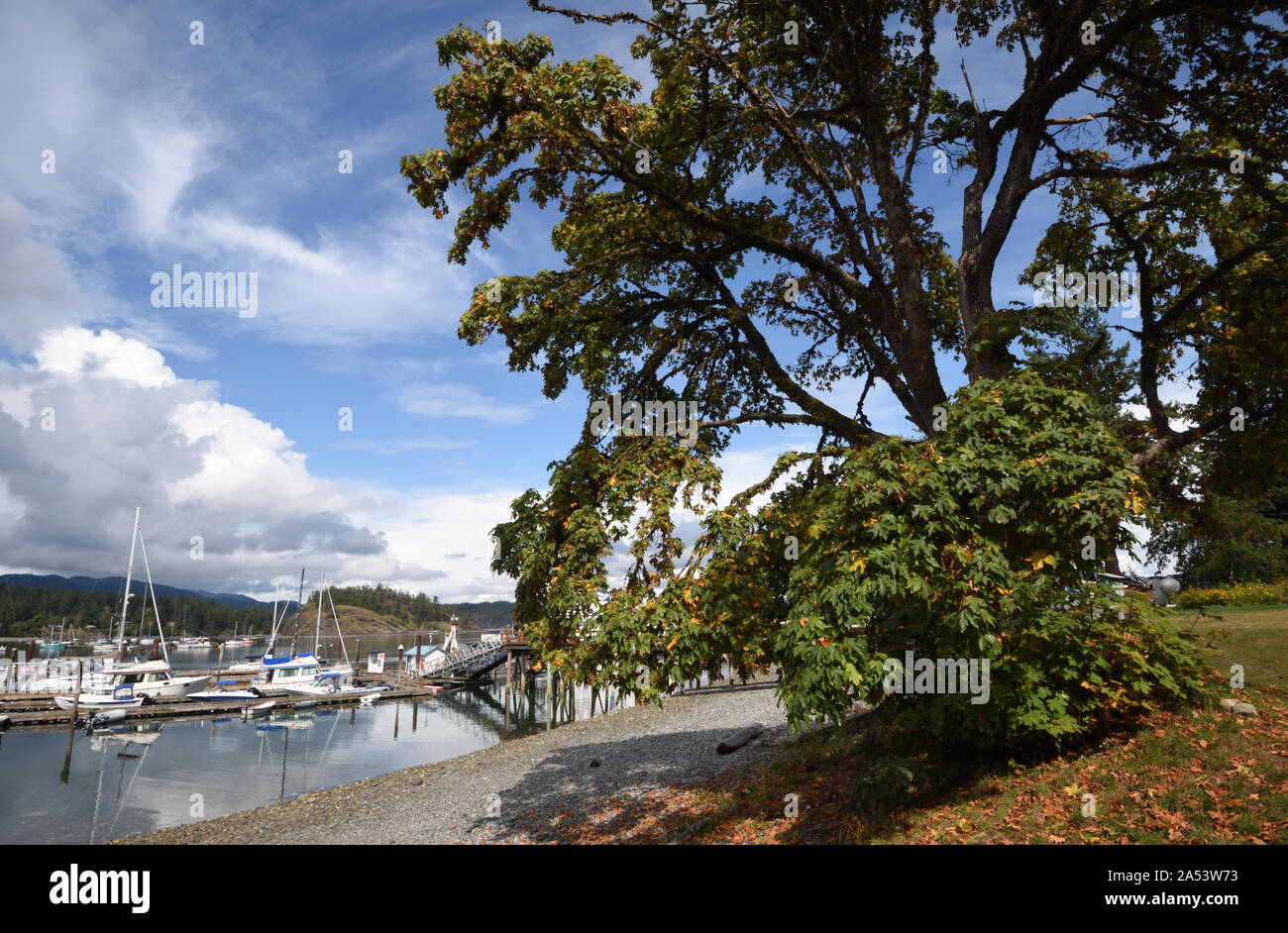 Boote liegen an einem geschützten Steg. Quadra Island, Vancouver Island, British Columbia, Kanada. Stockfoto