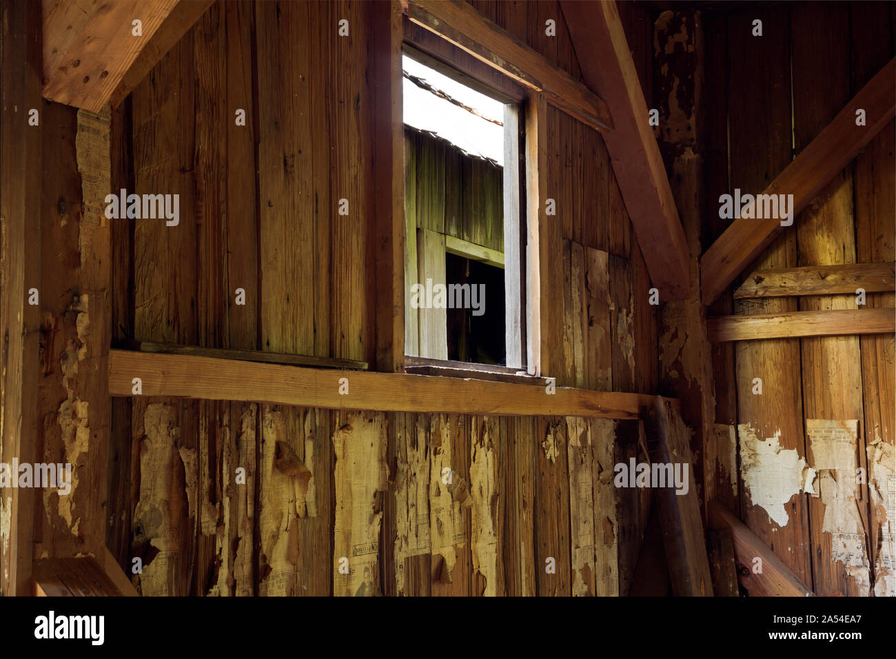 CA 03730-00 ... Kalifornien - Innenraum der alten Kabine auf dem Lyons Schafe Ranch in die kahlen Hügel Bereich der Redwoods National Park. Stockfoto