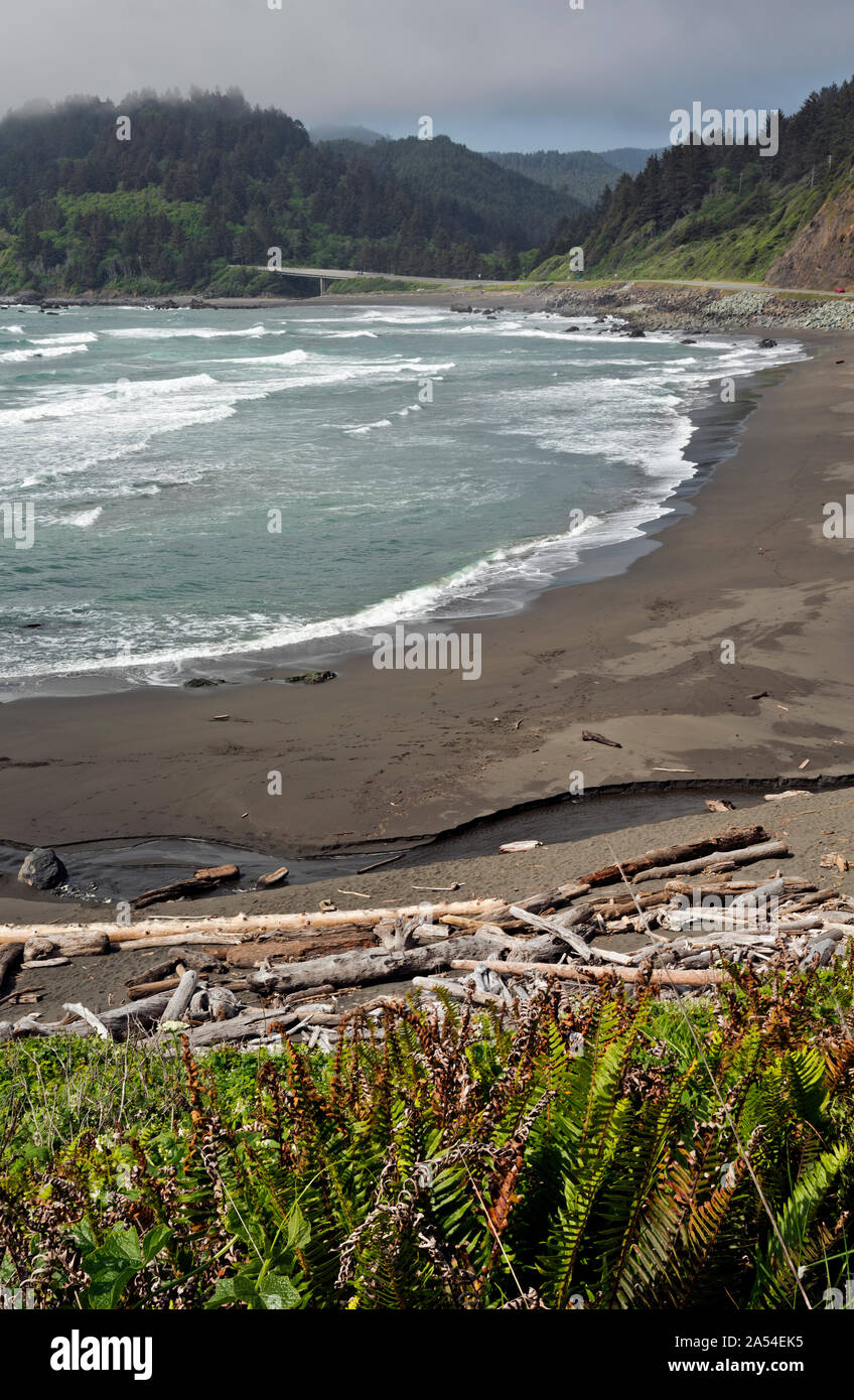 Kalifornien - False Klamath Cove an der Küste entlang der Autobahn 101 und der California Coast Trail und ein Teil der Redwood National- und Staatsparks. Stockfoto