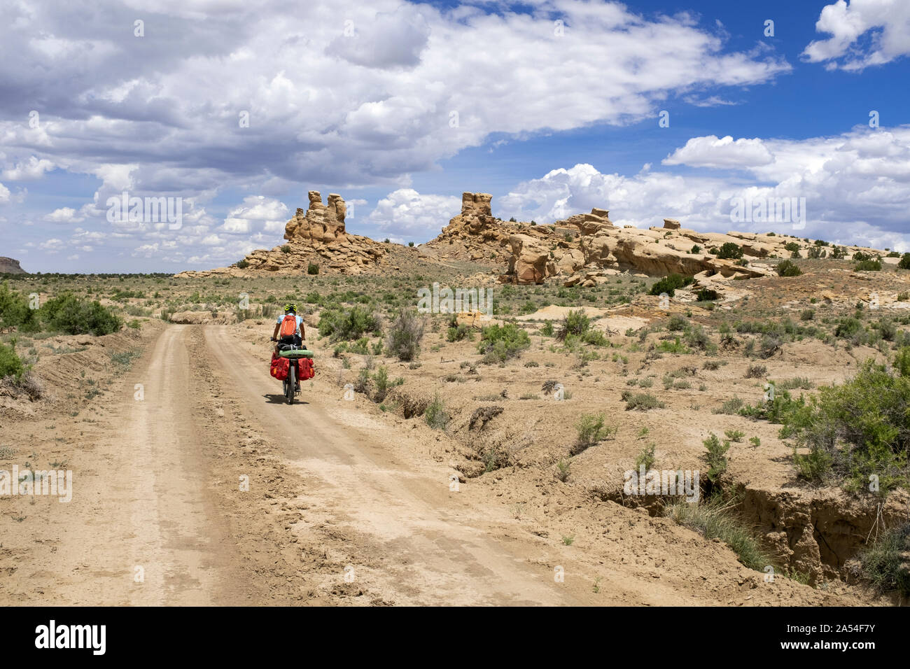 NM 00144-00 ... NEW MEXICO - Vicky Feder Radfahren die Große Mountainbike Route zwischen San Mateo Federn und Ojo Frio Feder in McKinley Divide County Stockfoto